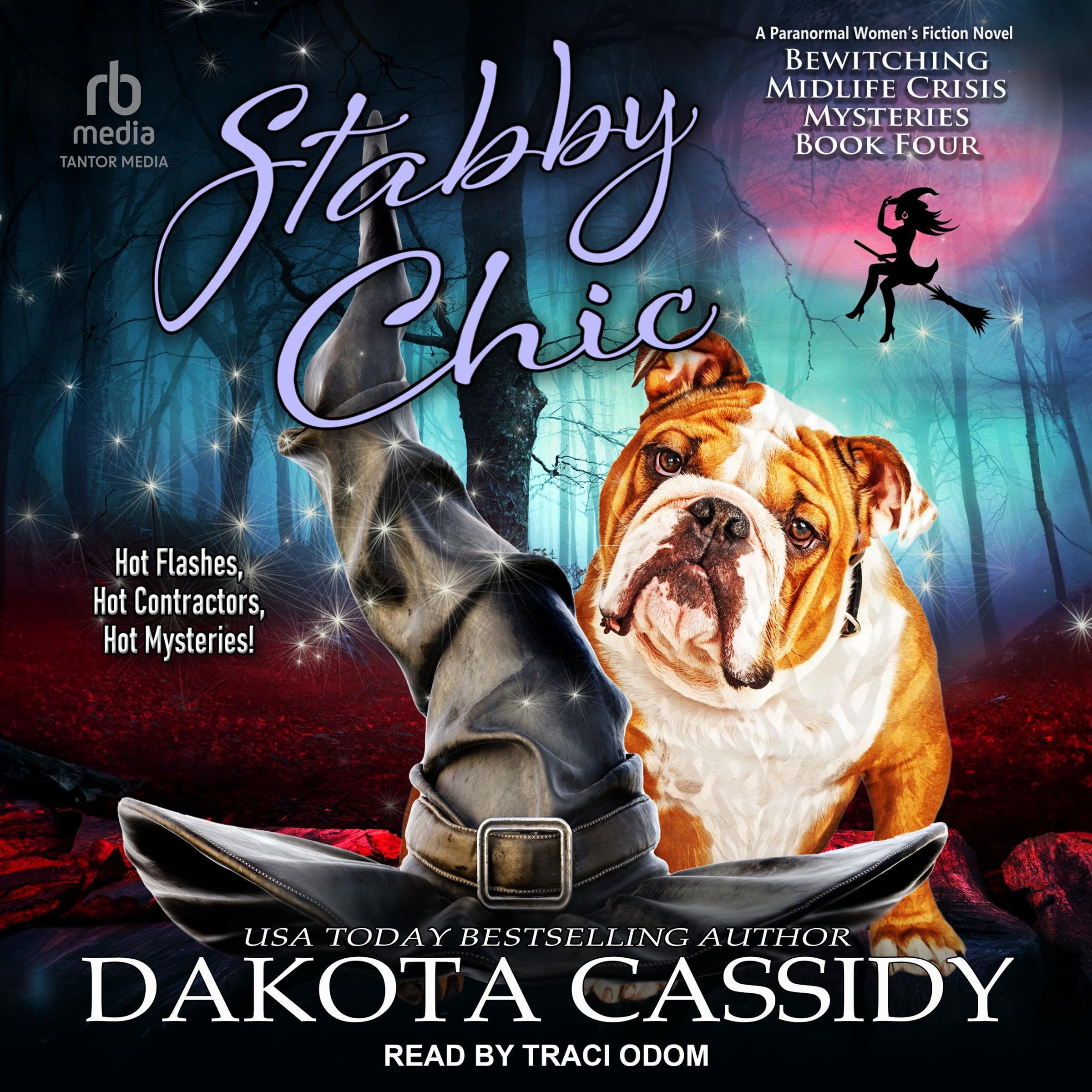 Cover art for Stabby Chic