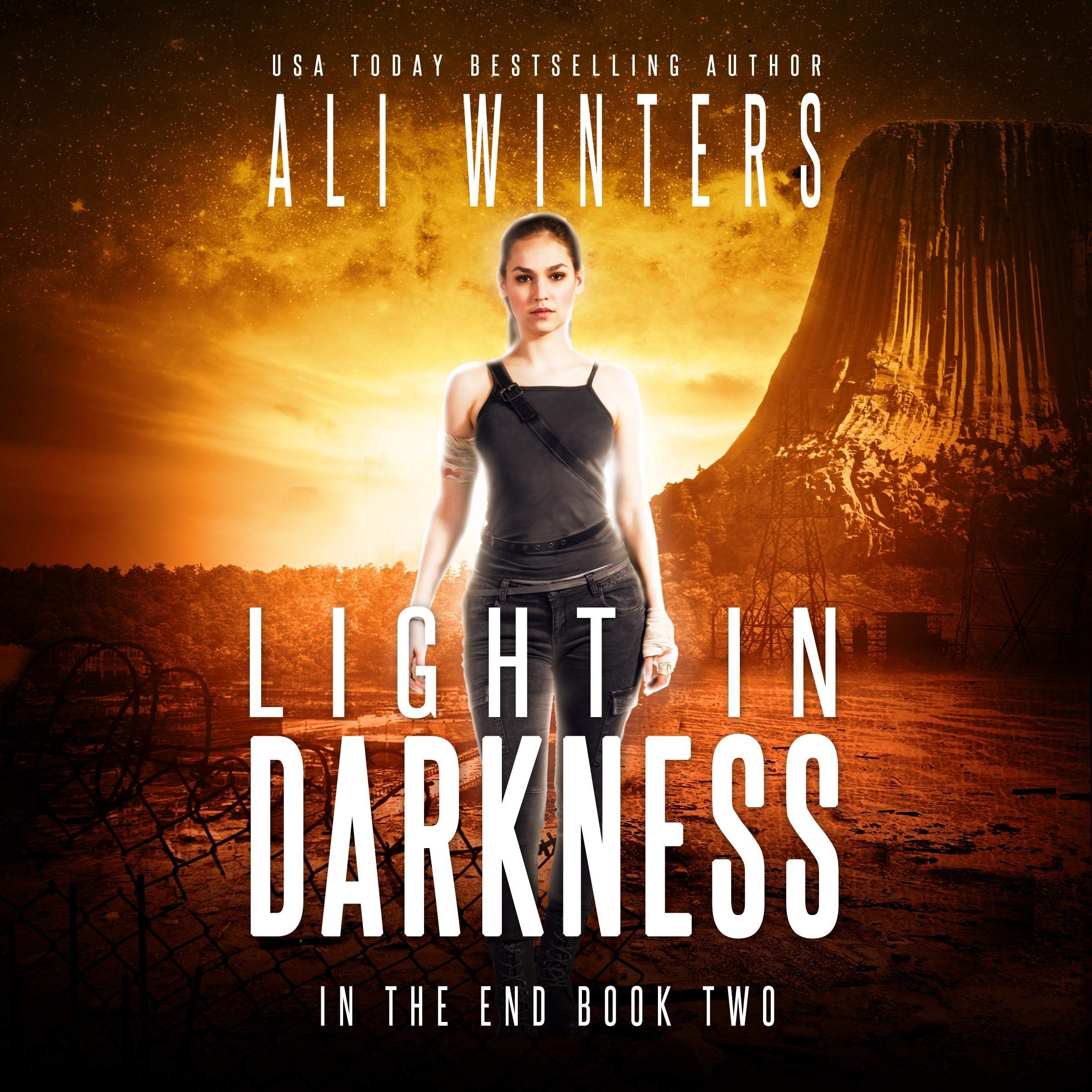 Cover art for Light in Darkness