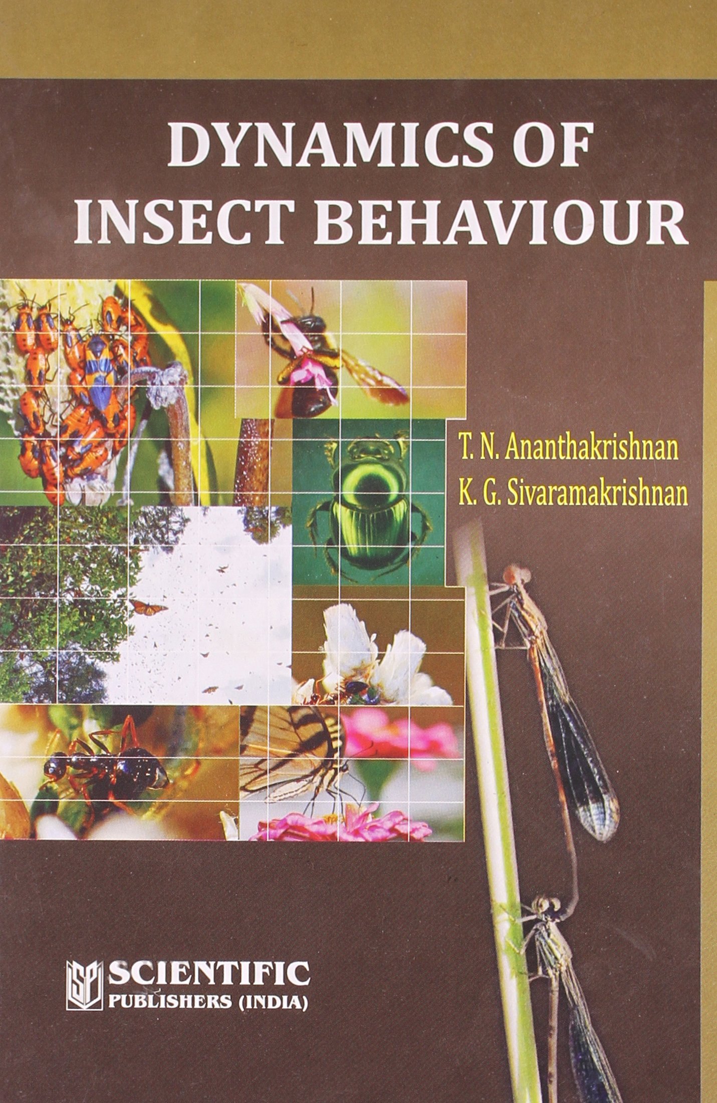 Buy Dynamics of Insect Behaviour โ BookShops.in