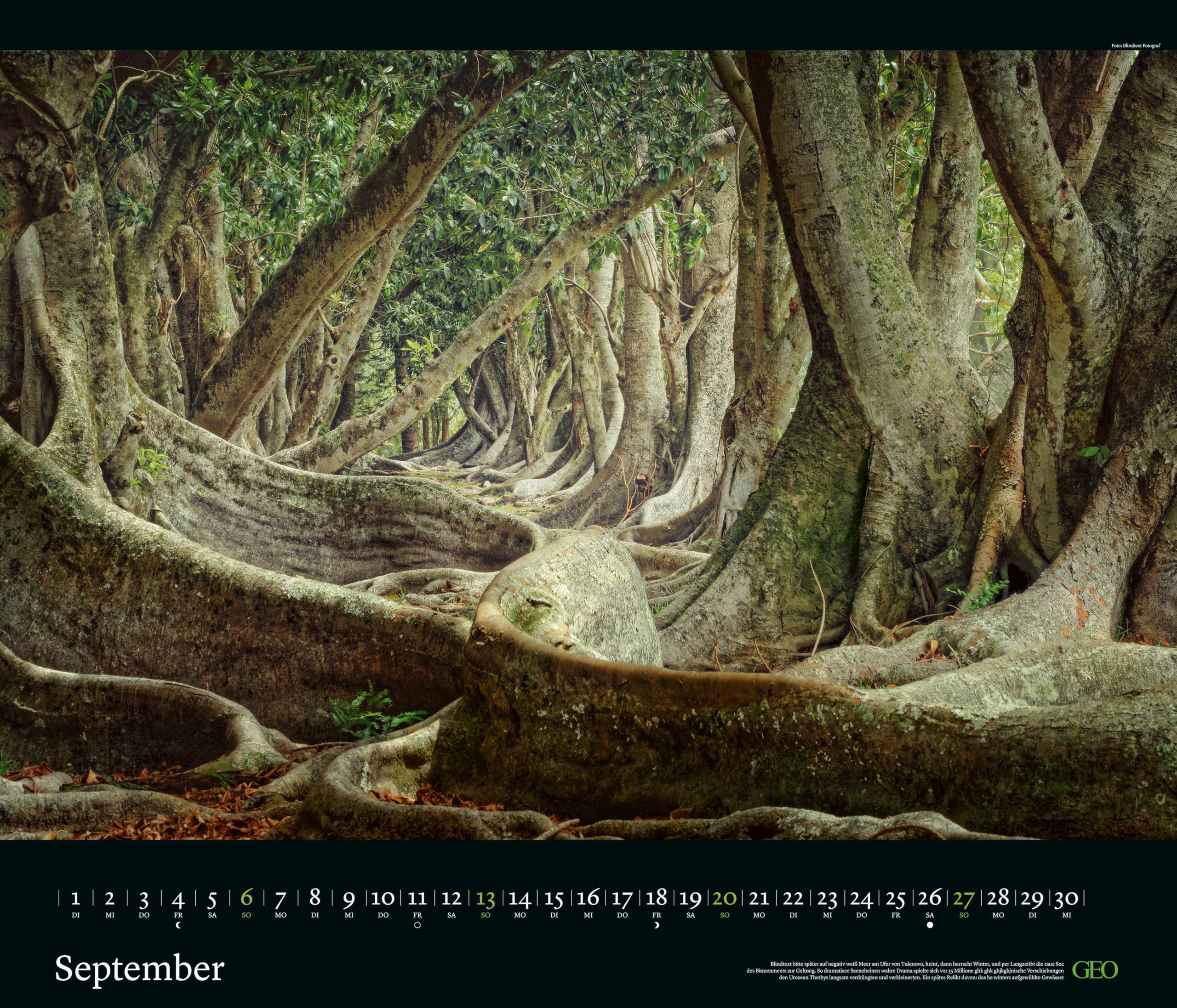 GEO - GEO Edition: Kräfte der Natur 2026 – Wandkalender 70x60 cm, Poster-Kalender mit Naturgewalten, 12 Monatsblätter & Spiralbindung inkl. Postkarten für Natur- und Fotografie-Liebhaber