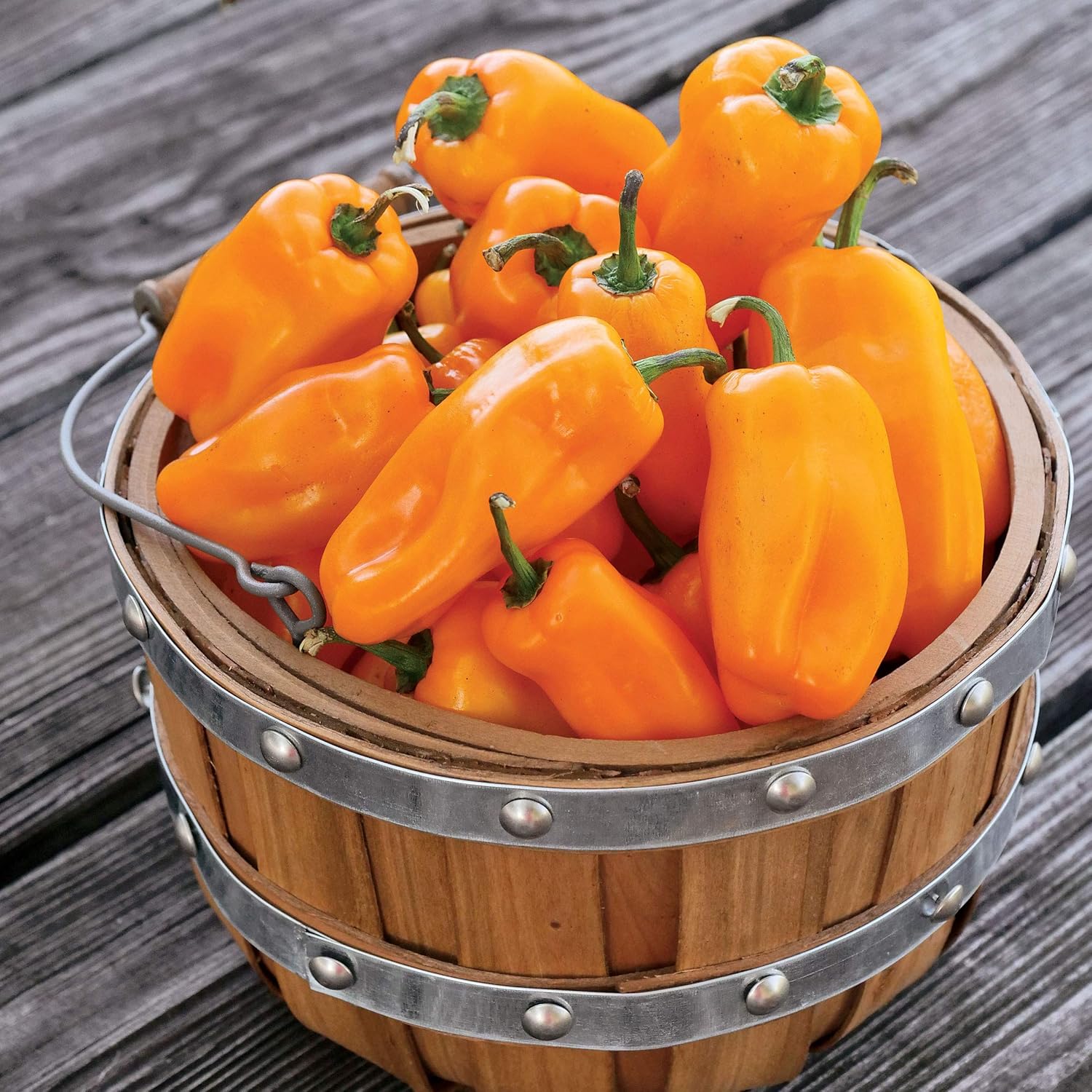 Park Seed Sweet Pepper Vegatable Plant Seeds, Easy to Grow, Spring Garden, Sweet Pickle, Pack of 25 : Patio, Lawn & Garden