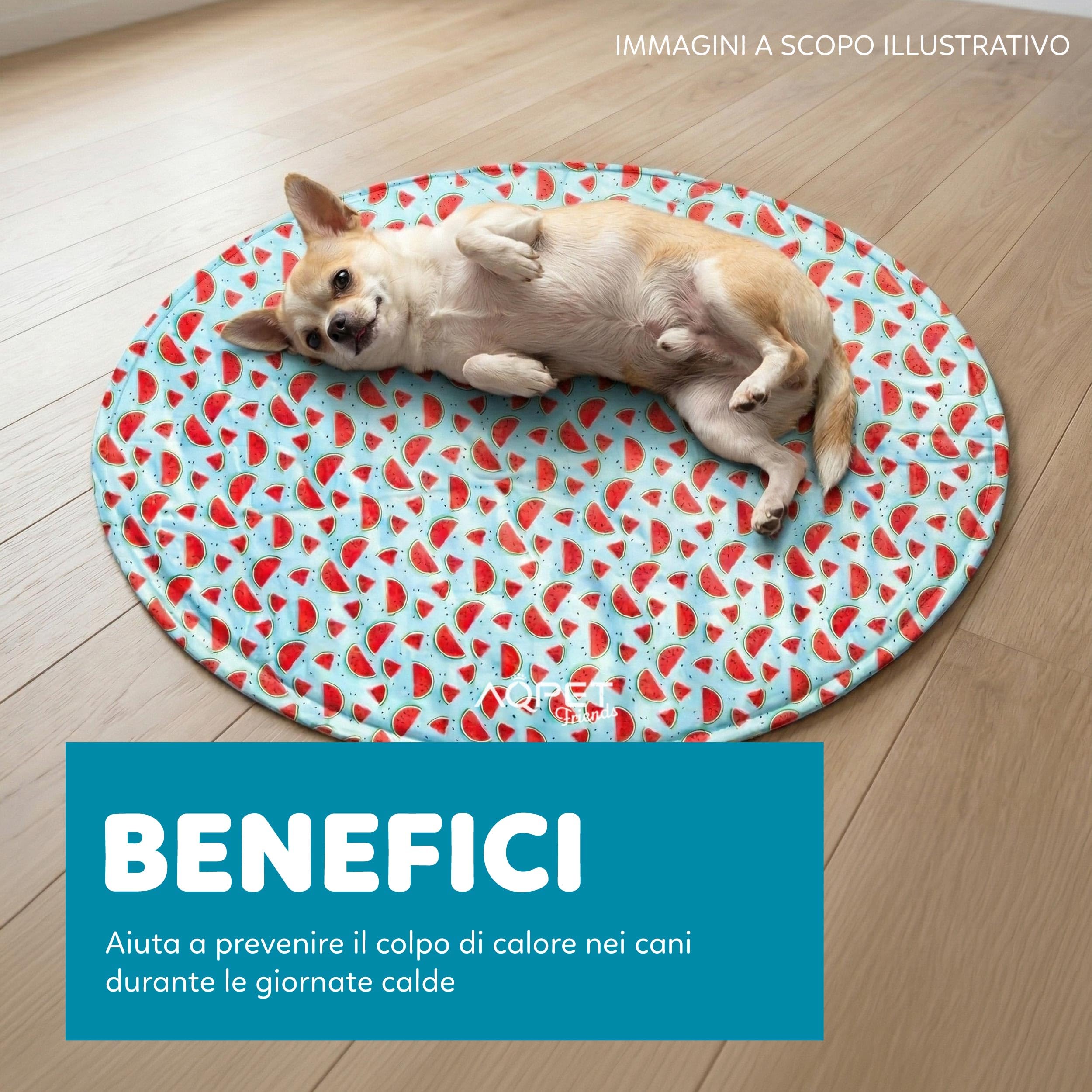 AQPET Tappetino Refrigerante Rinfrescante per cane forma Tonda, Gel non Tossico, sistema di Auto Raffreddamento, Fantasia Fruit, Misura Diametro 60 Cm
