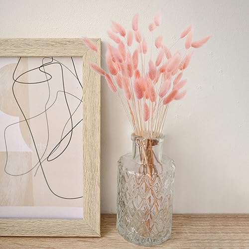 Miniatura 5 de Colas de conejo naturales de 17 pulgadas, 50 unidades de lagurus ovato seco, decoración de hierba de pampa rosa seca para arreglos florales de