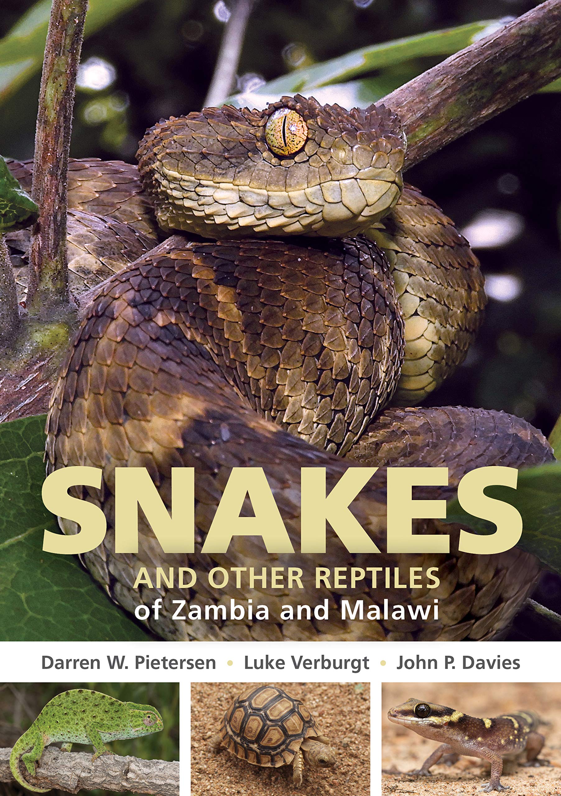 Field Guide to Snakes and other Reptiles of Zambia and Malawi (Struik Nature Field Guides)