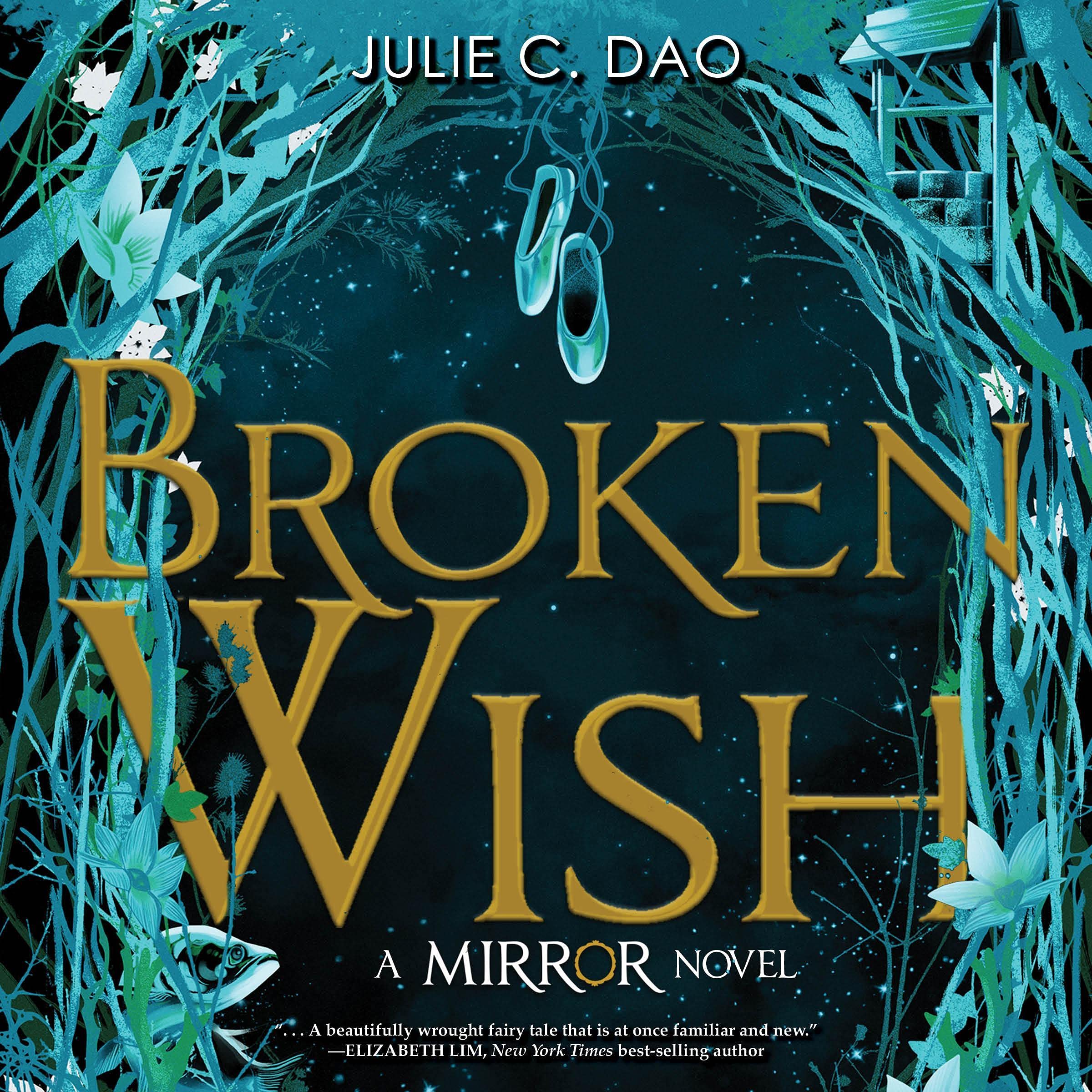 Cover art for The Mirror: Broken Wish