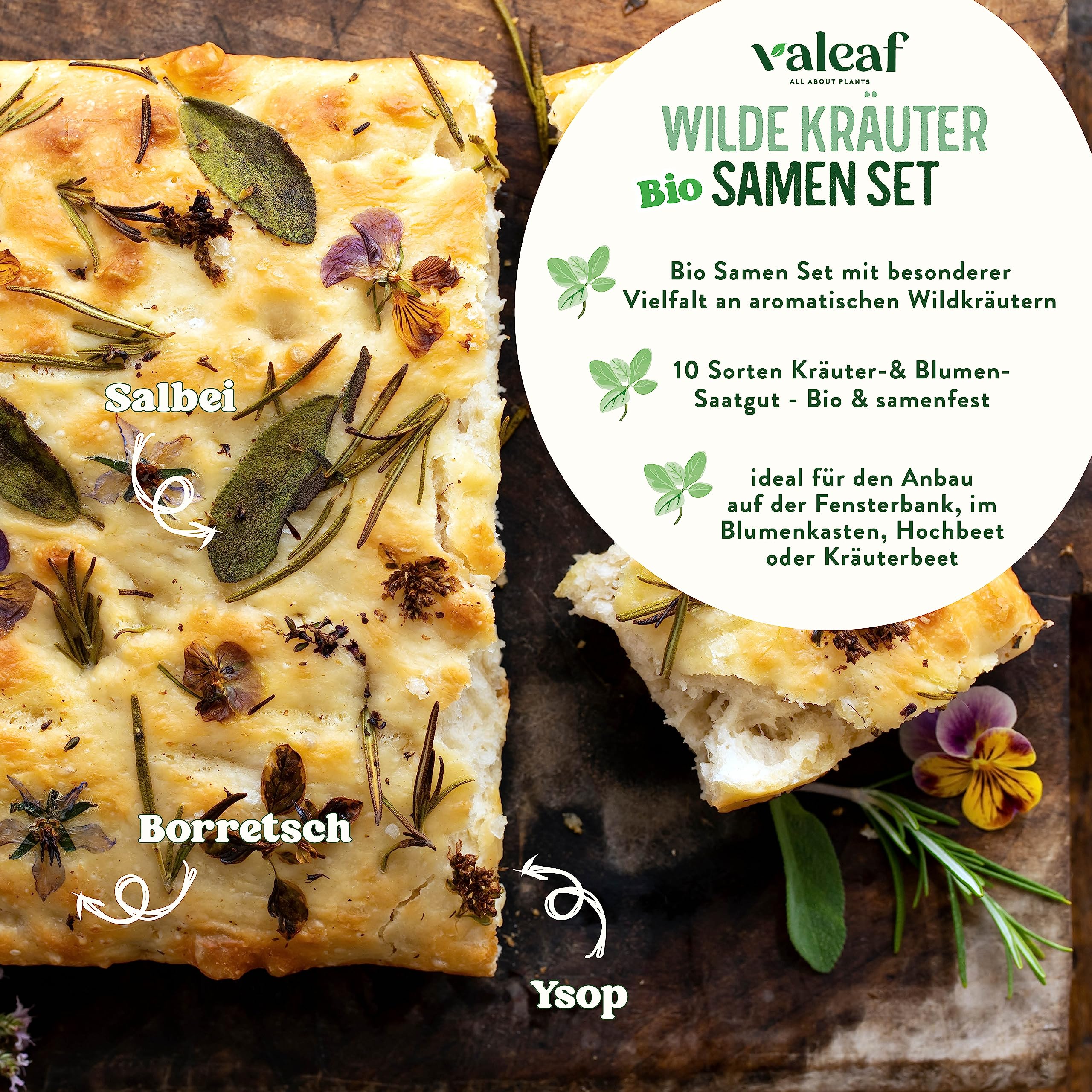 valeaf BIO Wildkruter Samen Set I 10 Sorten Kruter Saatgut aus  biologischem Anbau I Bio Krutersamen Set I Heilkruter Samen, Teekruter,  Biokruter, Gewrz I fr Balkon, Garten u. Hochbeet : Amazon.de: Garten