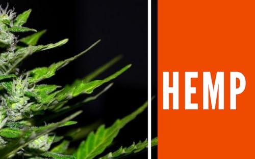 Hemp