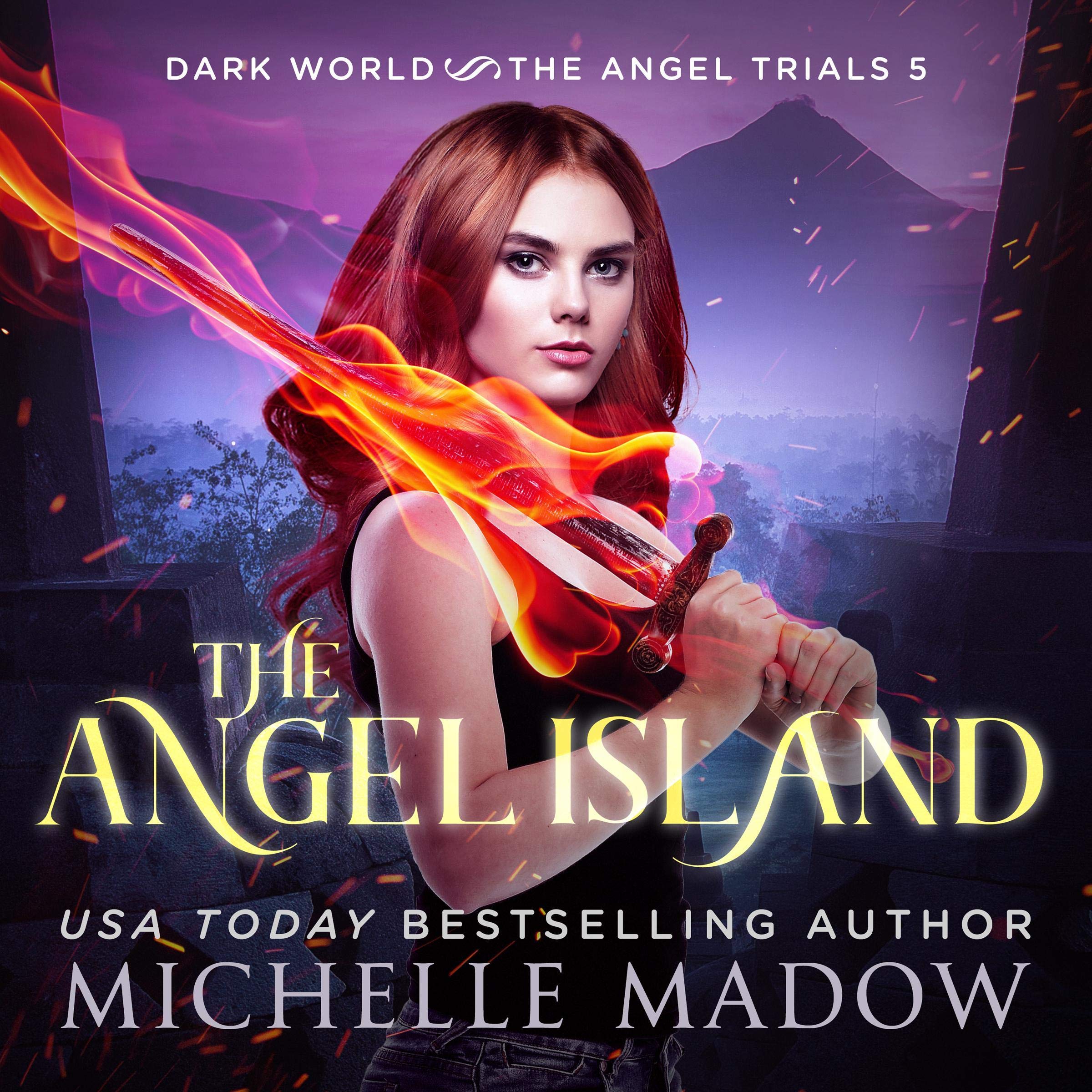 Cover art for The Angel Island