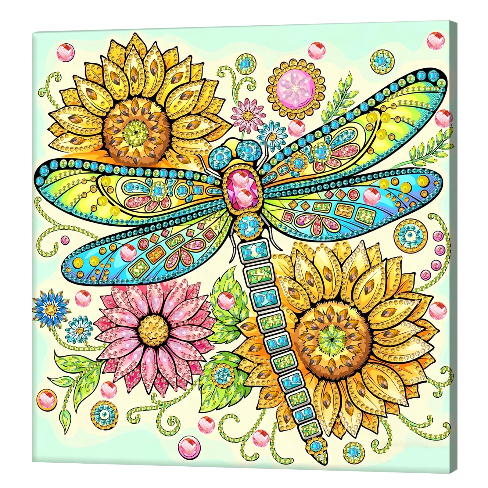 Kexpery 5D Diamond Painting Kits Partial Frame 25x25cm for Beginners Gems