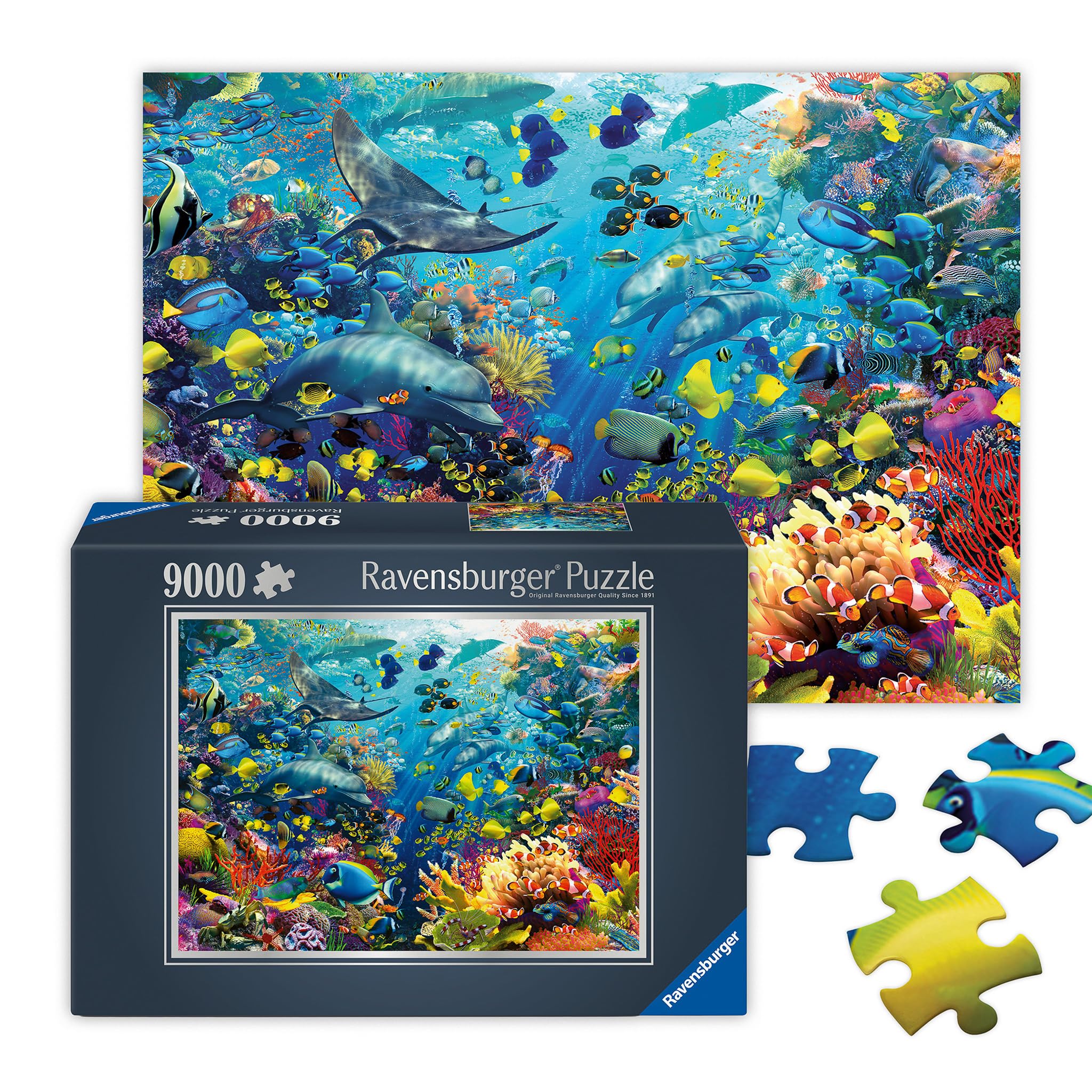 ジグソーパズル9000ピース 水中パラダイス Ravensburger Amazon.com: Ravensburger - Underwater Paradise - Impressive