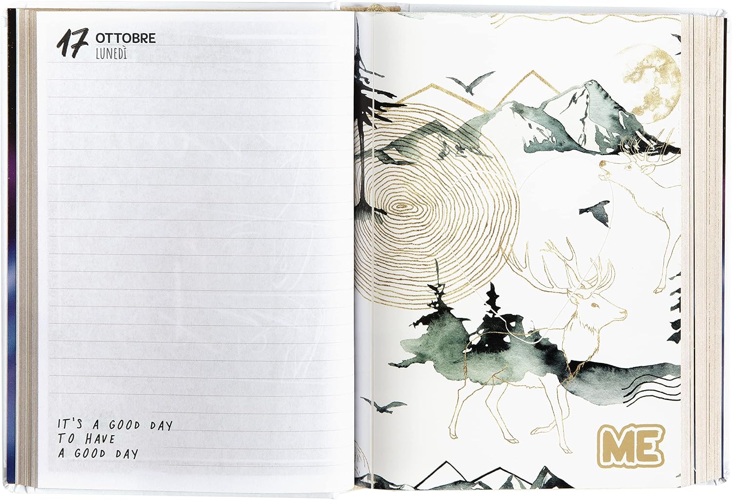 Medium Love Me Luxury 16 Month Planner