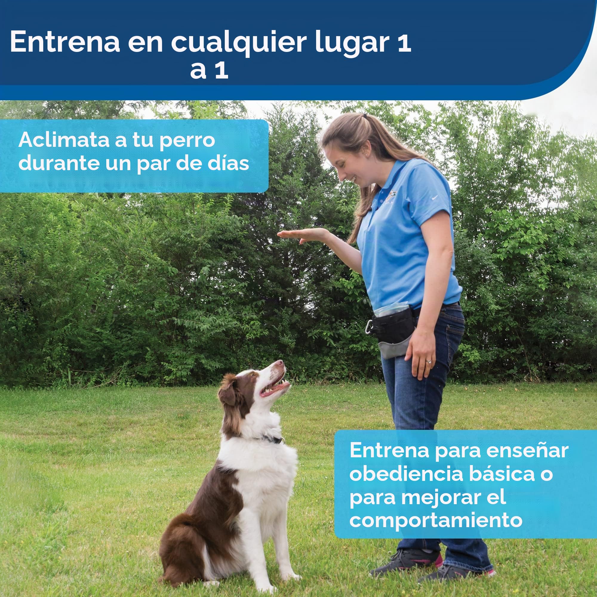 PetSafe Dispositivo de Entrenamiento por Ultrasonidos | Uso Interior y Exterior, Redirige la Atención del Perro