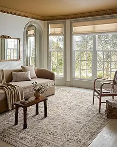 Loloi Magnolia Home by Joanna Gaines Pace Collection PAC-01 Natural/Stone 2'-6" x 10'-0" Runner Rug