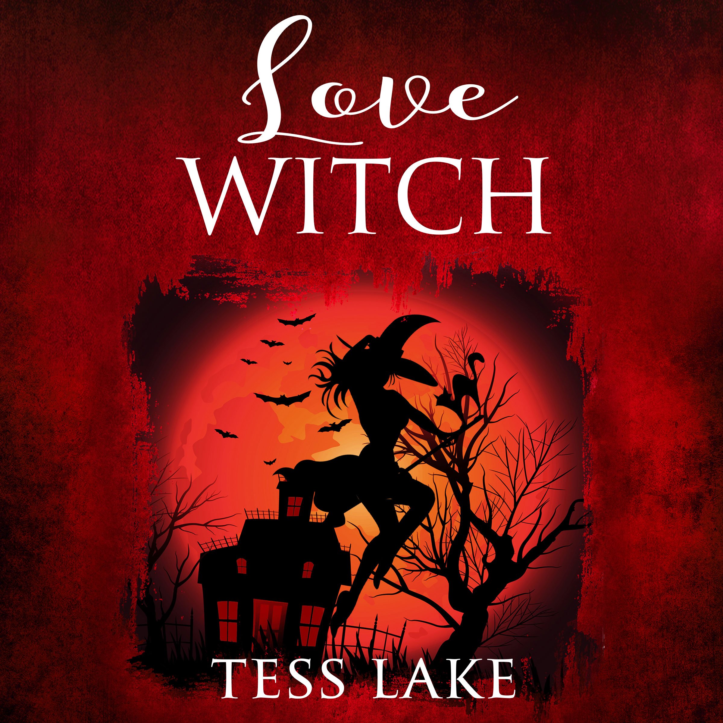 Cover art for Love Witch