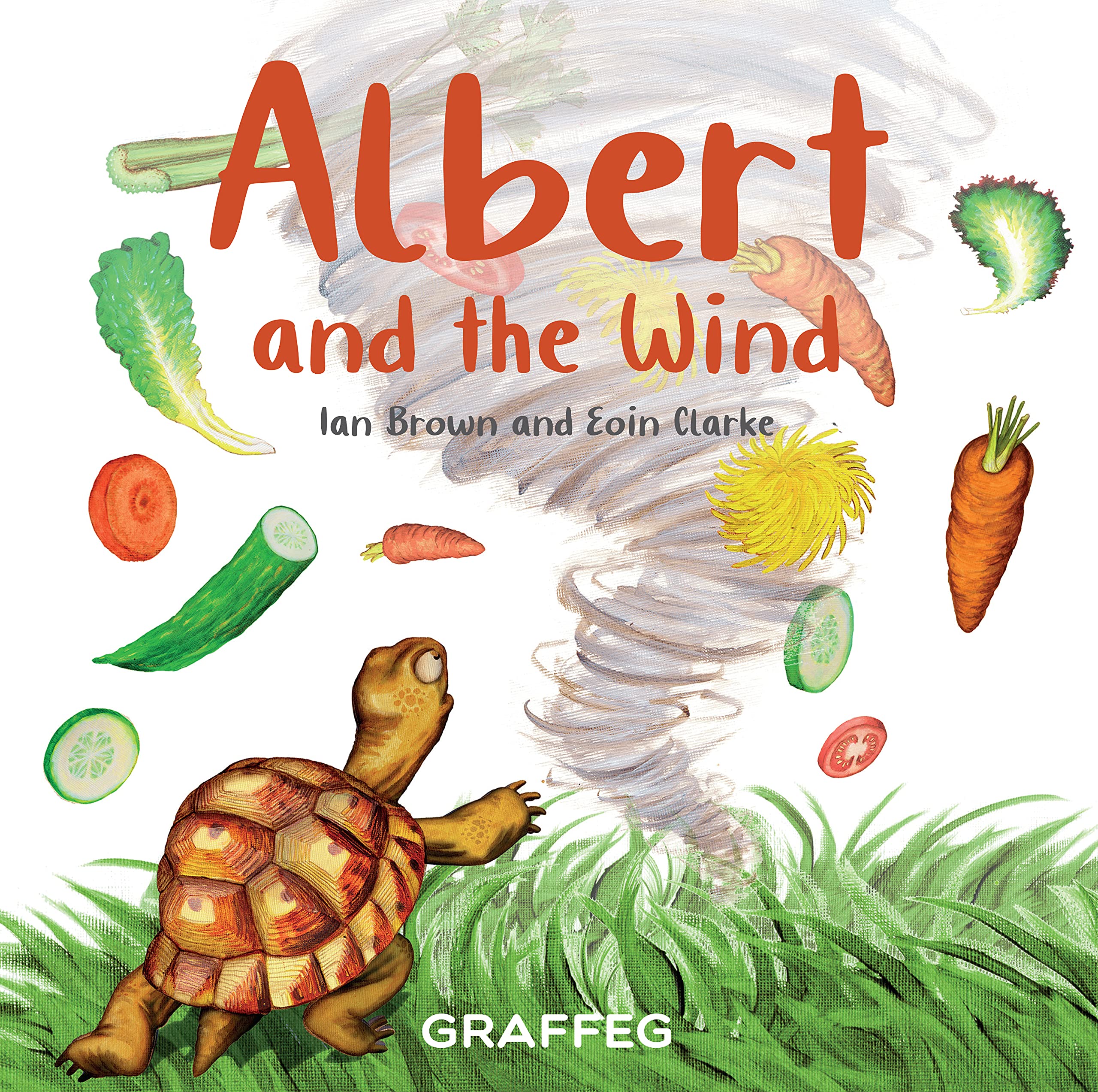 Albert and the Wind by Ian Brown PAPERBACK 9781913733445