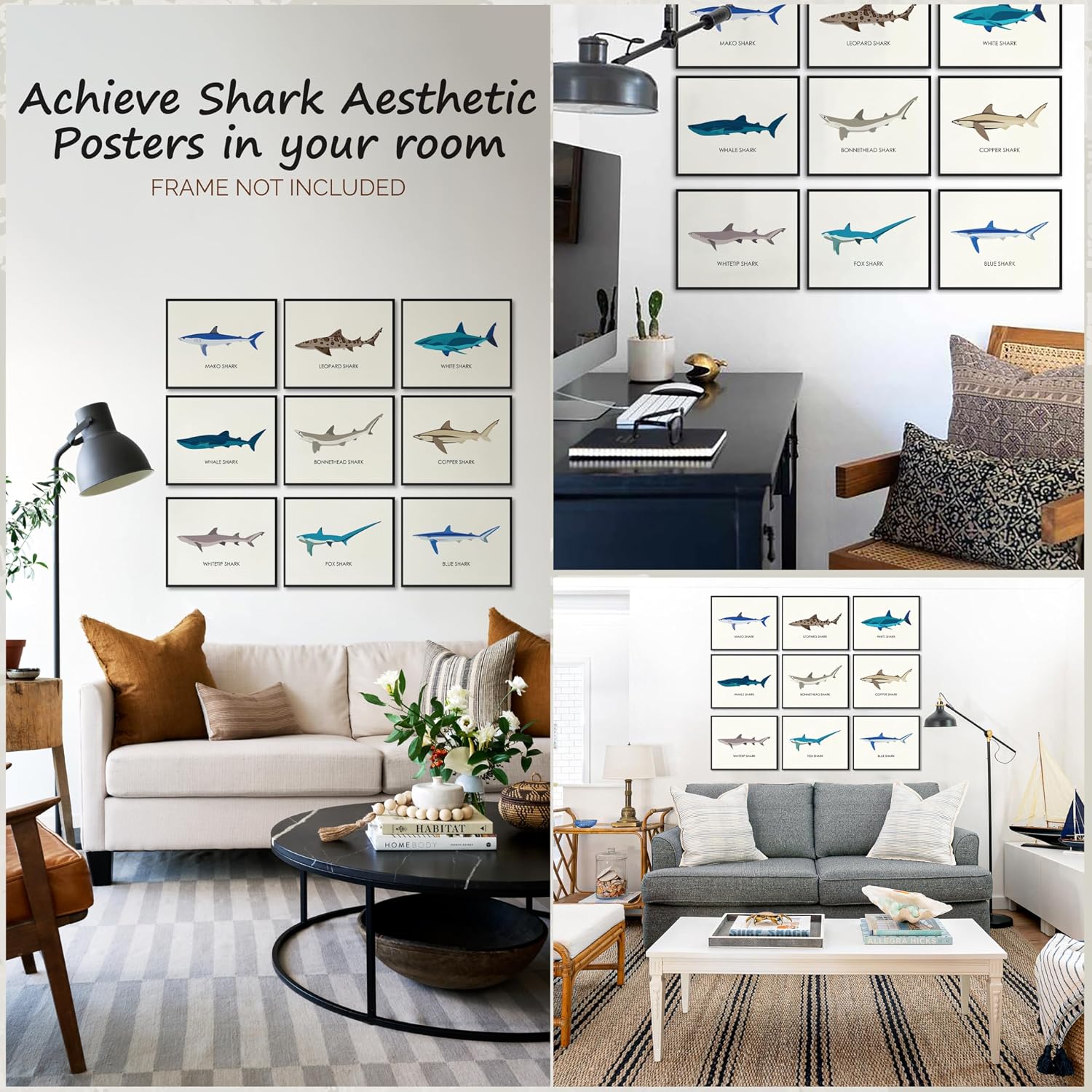 97 Decor Shark Wall Art, 9 Vintage Sea Life Prints, 8x10, Unframed image 3