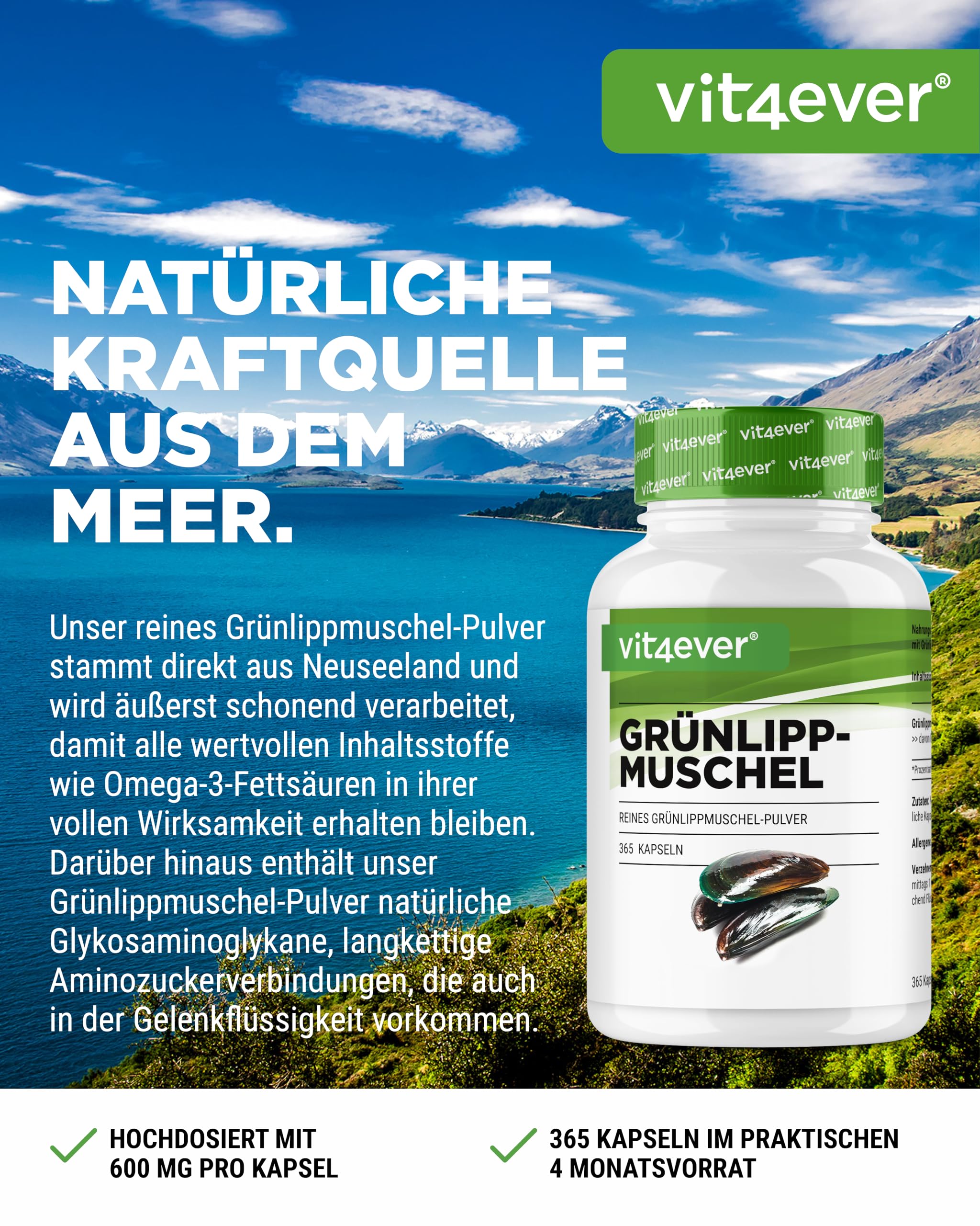 vit4ever Grünlippmuschel - 365 Kapseln - je 600 mg | Glycosaminoglykane, 100% Grünlippmuschelpulver aus Neuseeland, hochdosiert