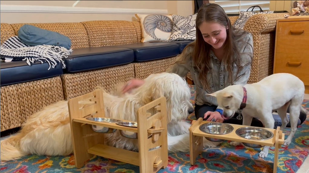 Vantic Elevated Dog Bowls-Adjustable Raised Dog Bowls with Stand for Small Size Dogs and Cats,Durable Bamboo Dog Feeder… - Image 7