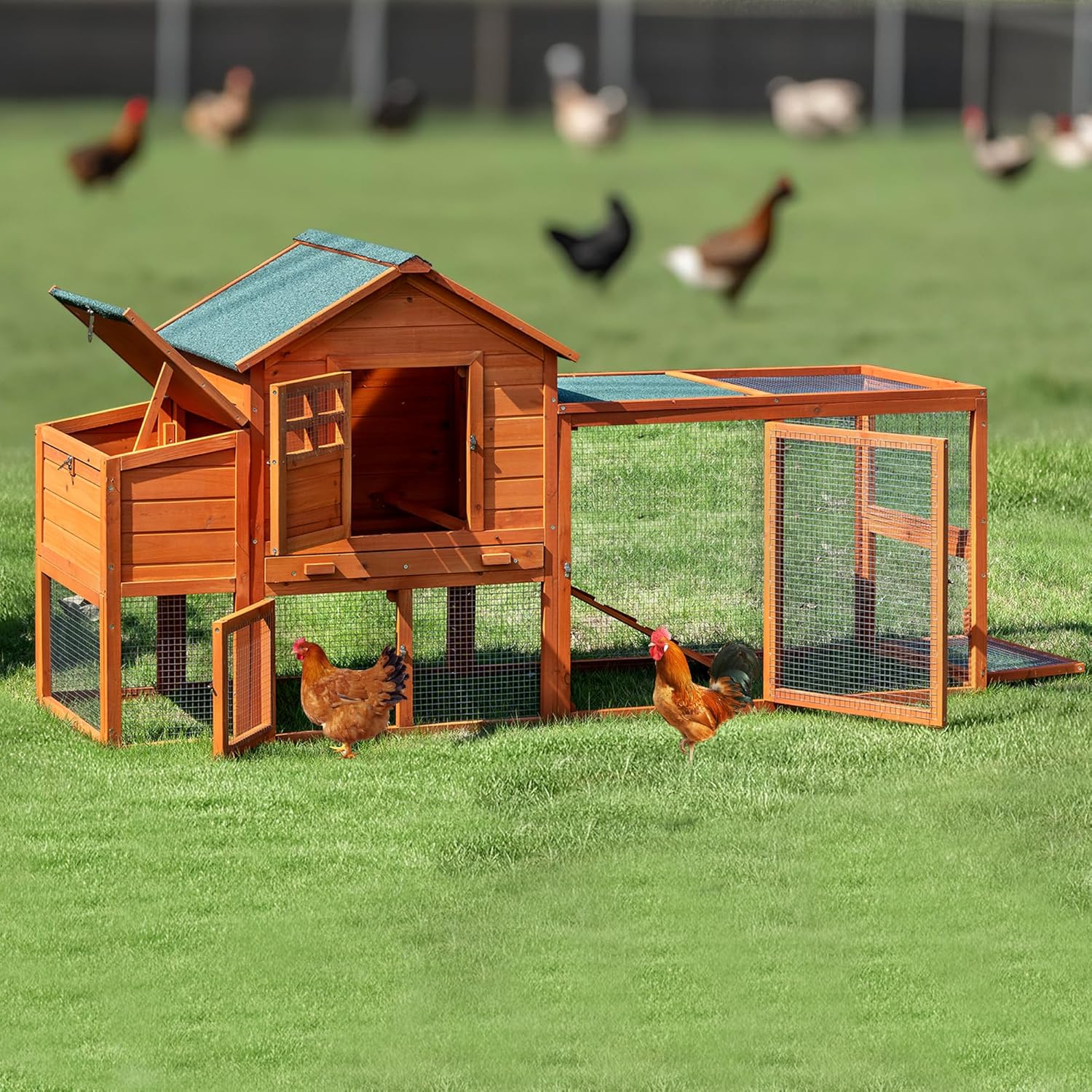 Large Chicken Coop Outdoor Durable Duck House Poultry Pet Hutch & 2 Wood Eggs Run Cage Nesting Box Waterproof Asphalt Roof Ramp Removable Tray Wire Fence for Backyard Small Animal Orange 79"