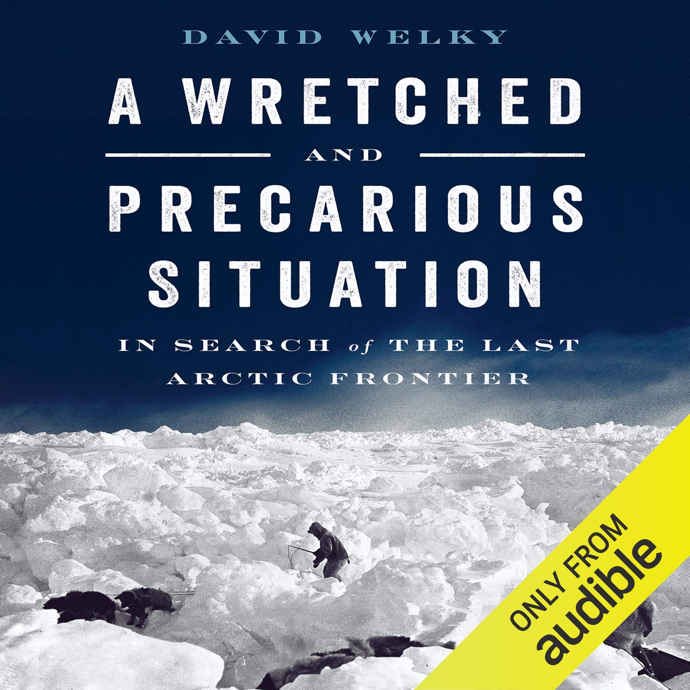 Cover art for A Wretched and Precarious Situation