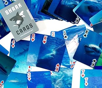 SHARK DECK PLAYING CARDS 6個+専用箱セット SHARK DECK PLAYING CARDS 6個+専用箱セット Card Sharks