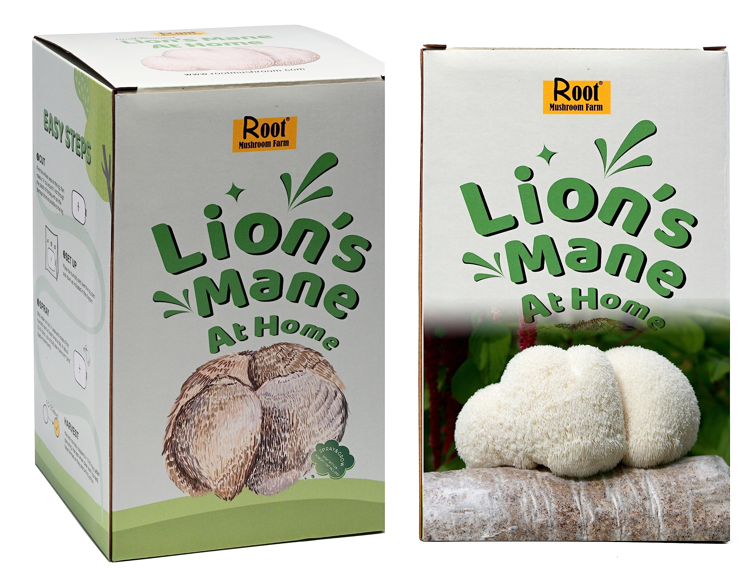 Two Lion's Mane Grow Kits (3.2 Pound Each)