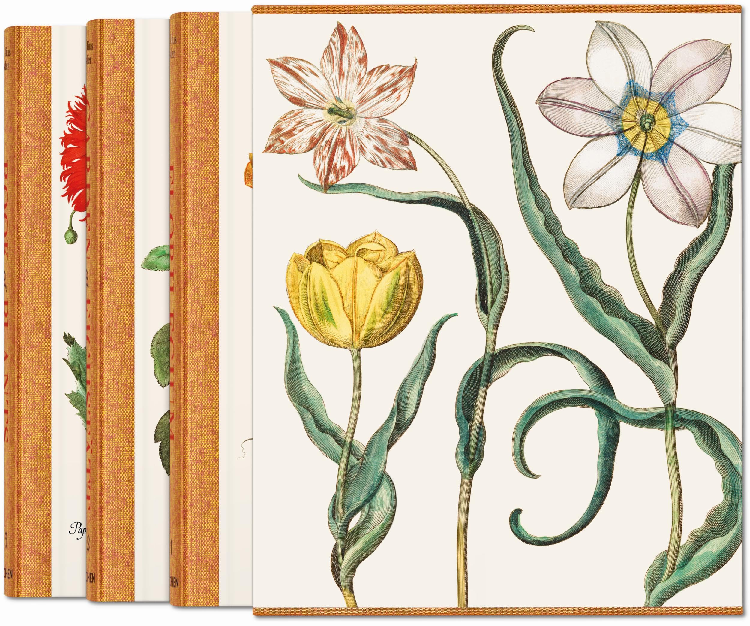 Basilius Besler: The Garden at Eichstätt: 1-3