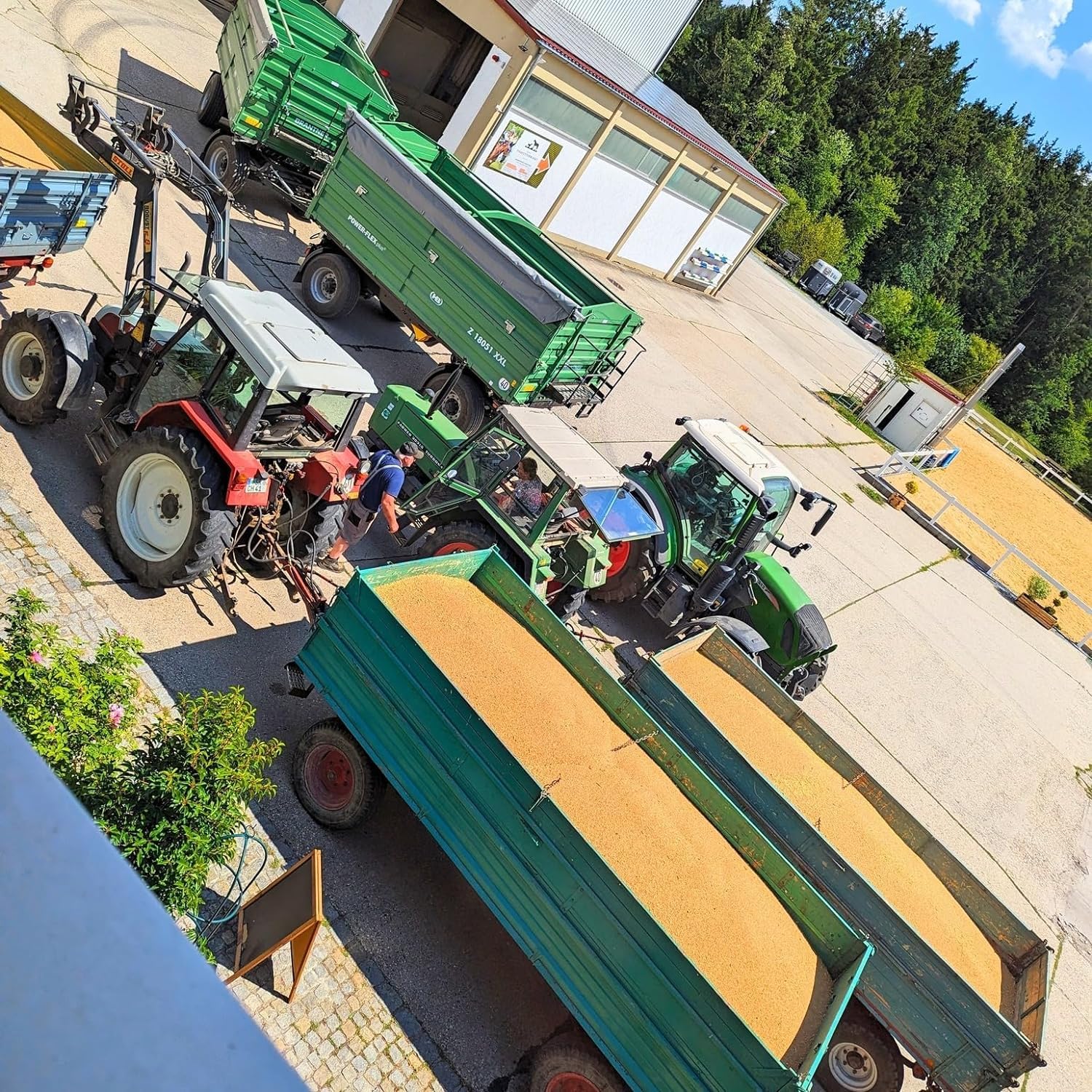Brotbackmischungen Dorfner Mühle - 14 Brote [7x1kg] Probierset - Handgemacht in Bayern seit Generationen - ohne künstliche Zusätze