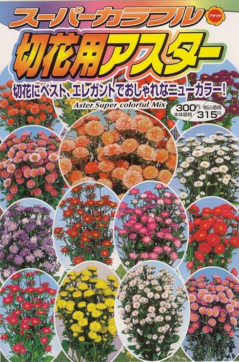 Amazon アタリヤ農園 ガーデニング用品 種 スーパーカラフル切花用アスター 花