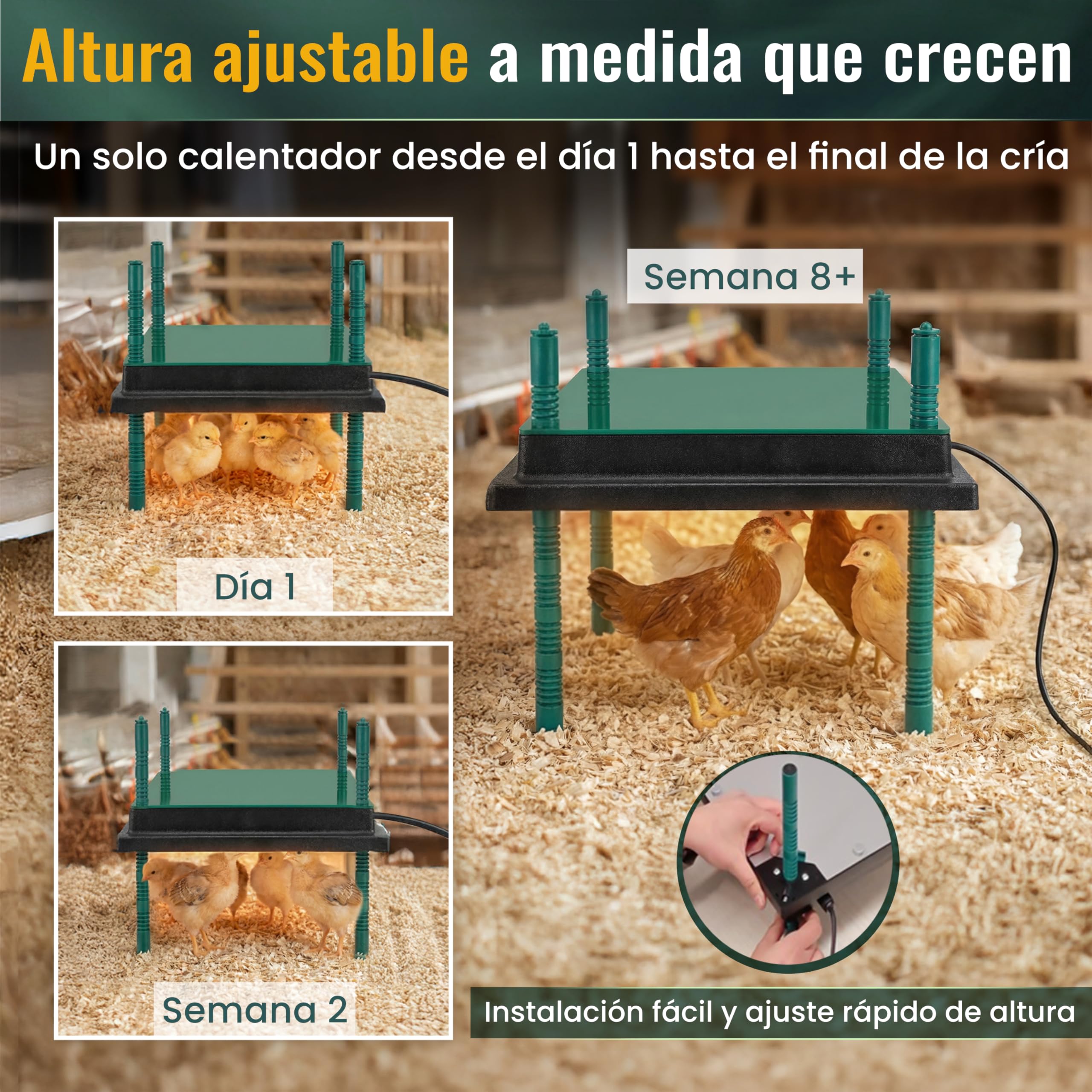 Dural’s® Küken-Wärmeplatte 30x40cm (-80% Energie) mit Abdeckung - 30W Aufzuchtplatte (25-30 Küken) - Höhenverstellbar 20cm - Sanfte Anti-Stress-Wärme + E-Book