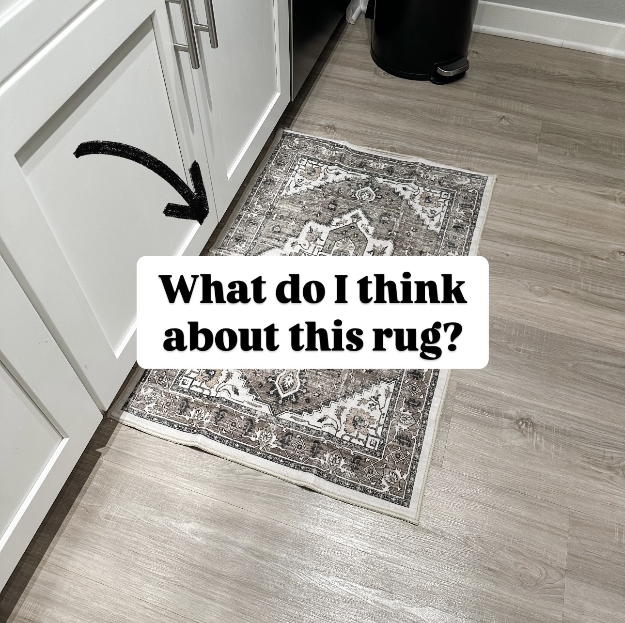Area rug HONEST review + demo