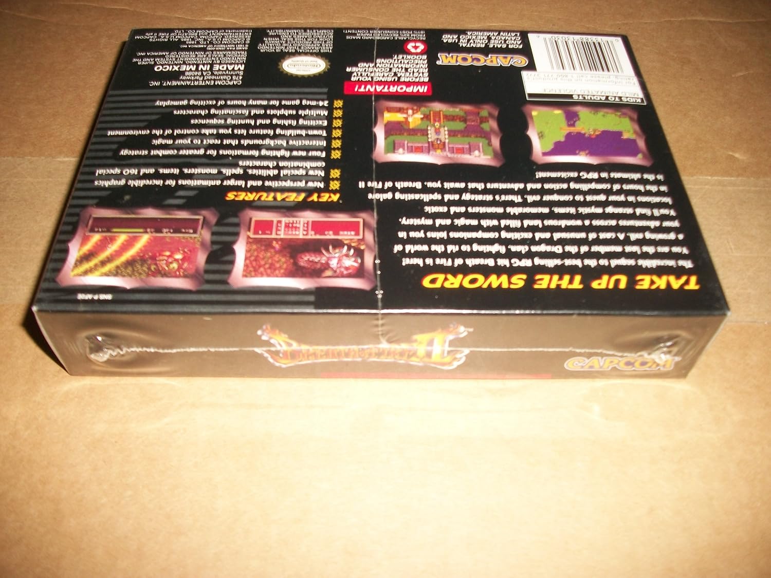 Breath of Fire II image 2