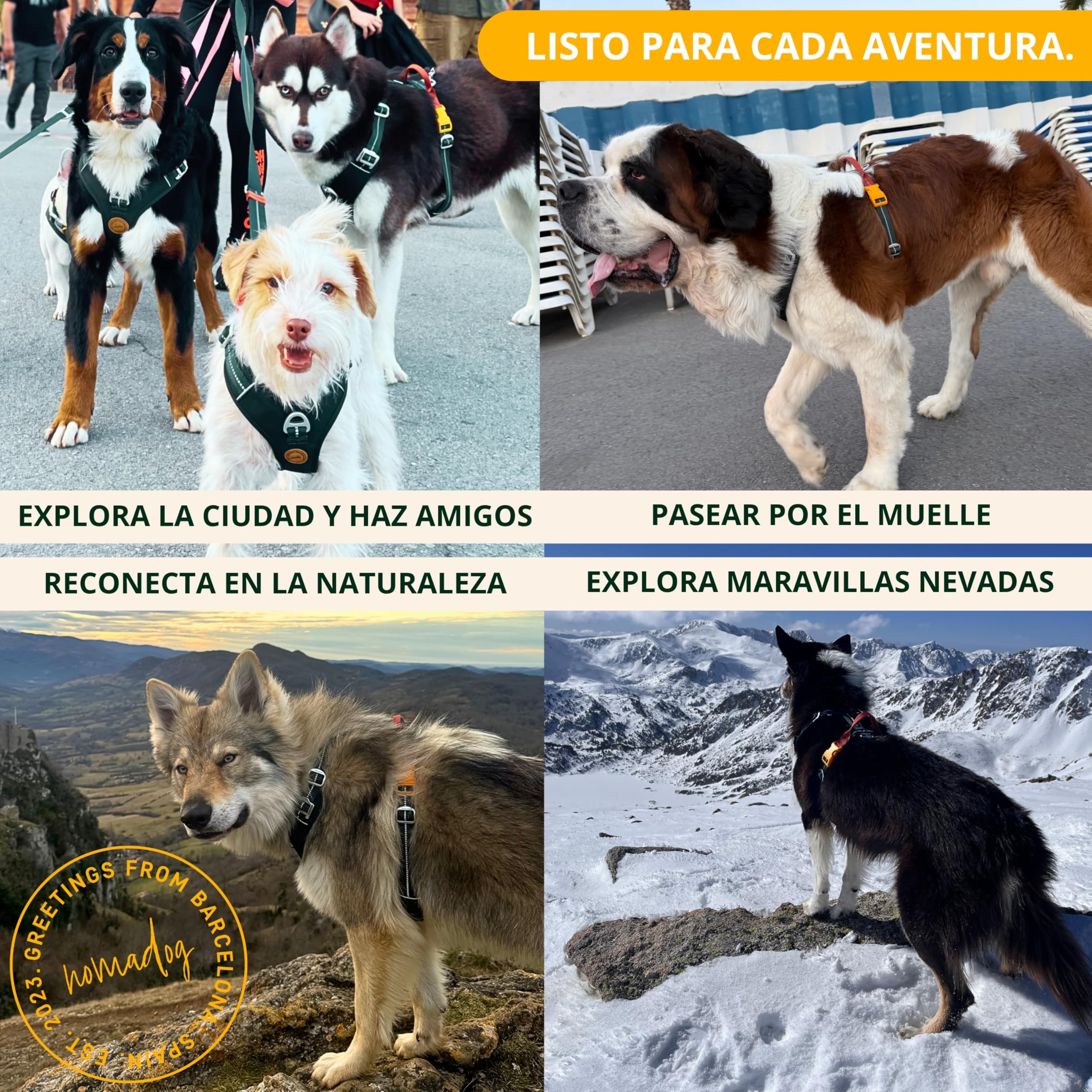 Nomadog Trailblazer Arnes Perro Grande Sin Tirones con Asa - Ajuste Óptimo, Reflectante 3M, Aluminio No Oxidante, Materiales Reciclados - Ideal para Perros Activos (XL)