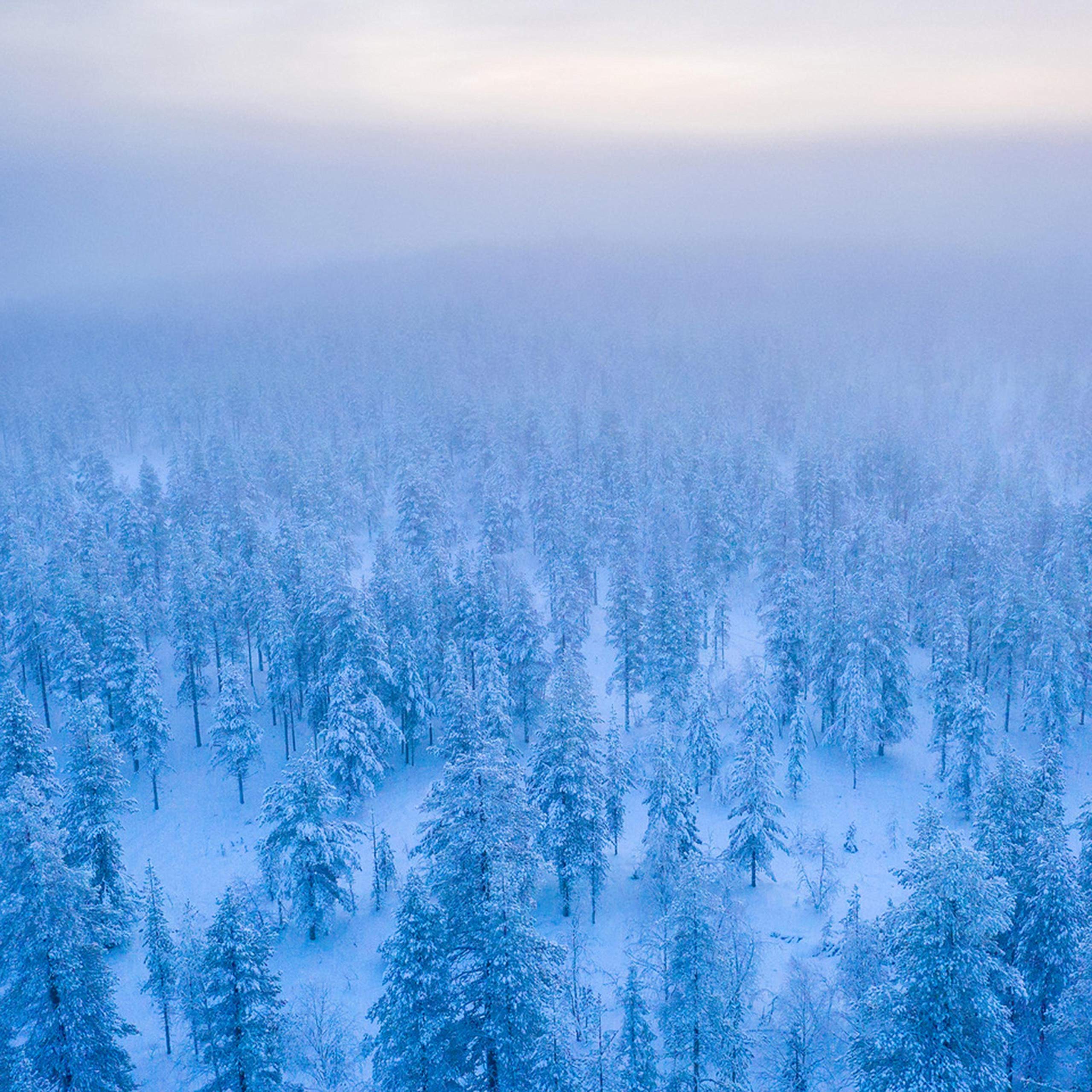 Dirtwire & Emma Lucia