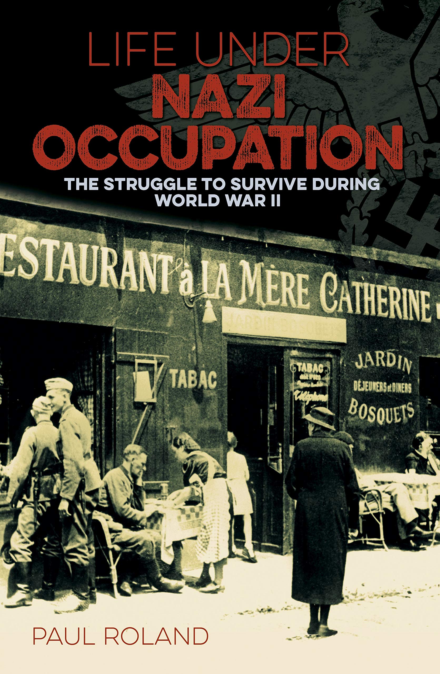 Life Under Nazi Occupation: The Struggle to Survive During World War II (Arcturus Military History)