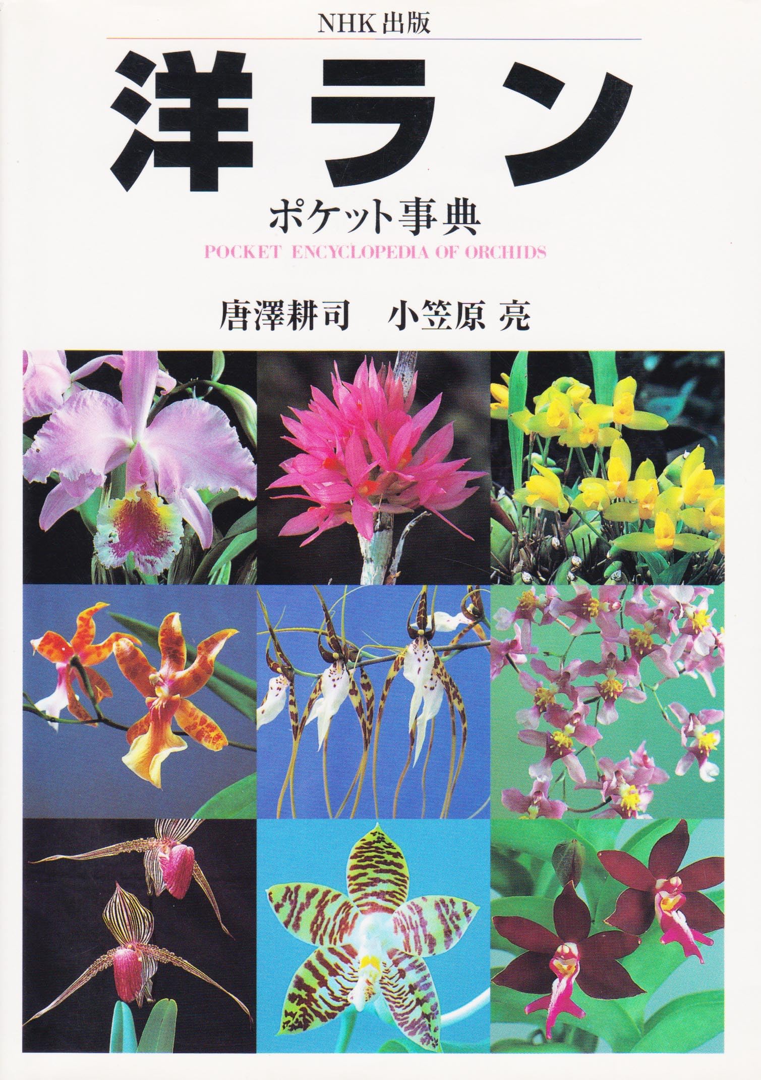 Amazon.co.jp: 小笠原 亮: 本、バイオグラフィー、最新アップデート