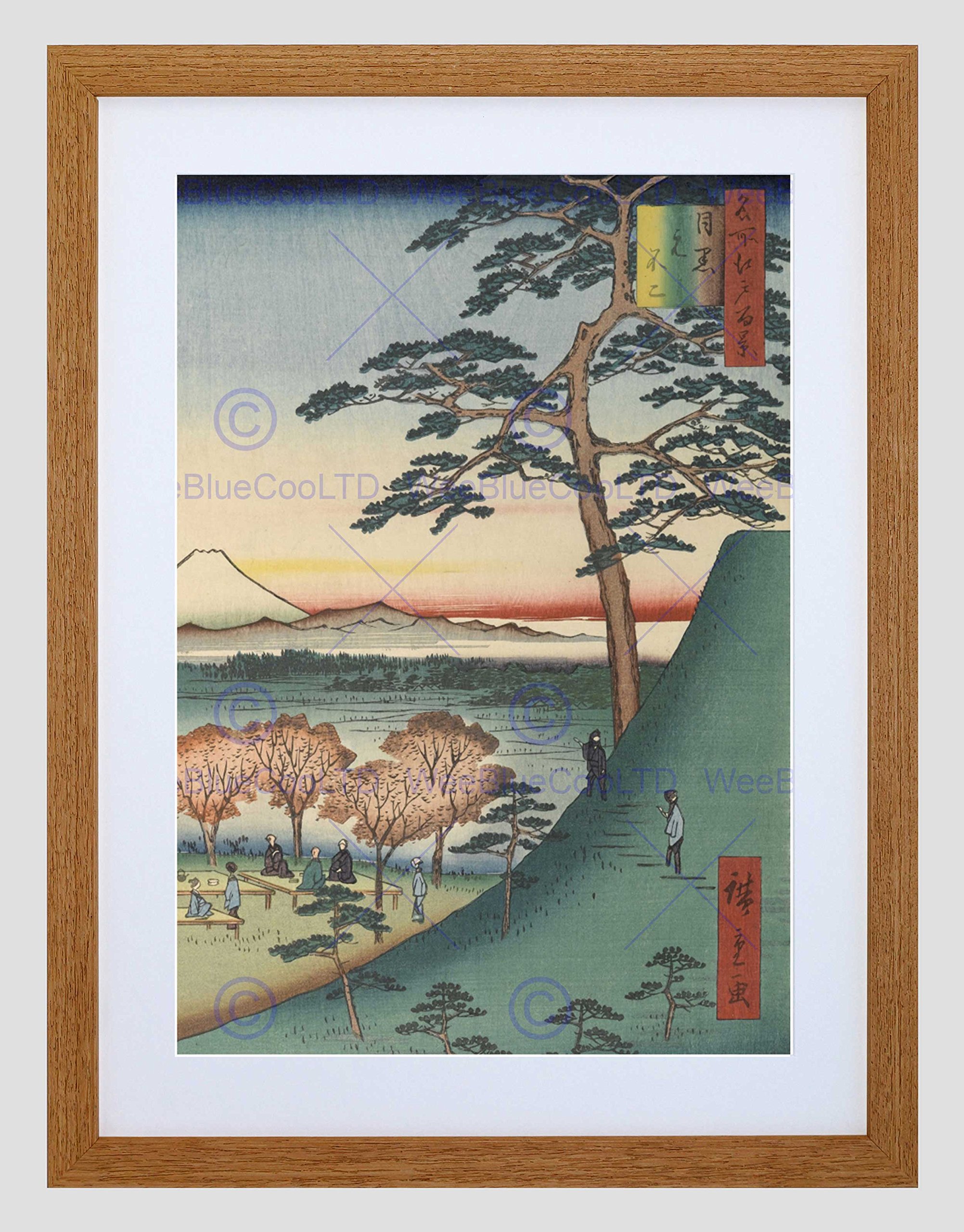 Wee Blue Coo Original Fuji Meguro Views of Edo Hiroshige Woodblock Framed Wall Art Print
