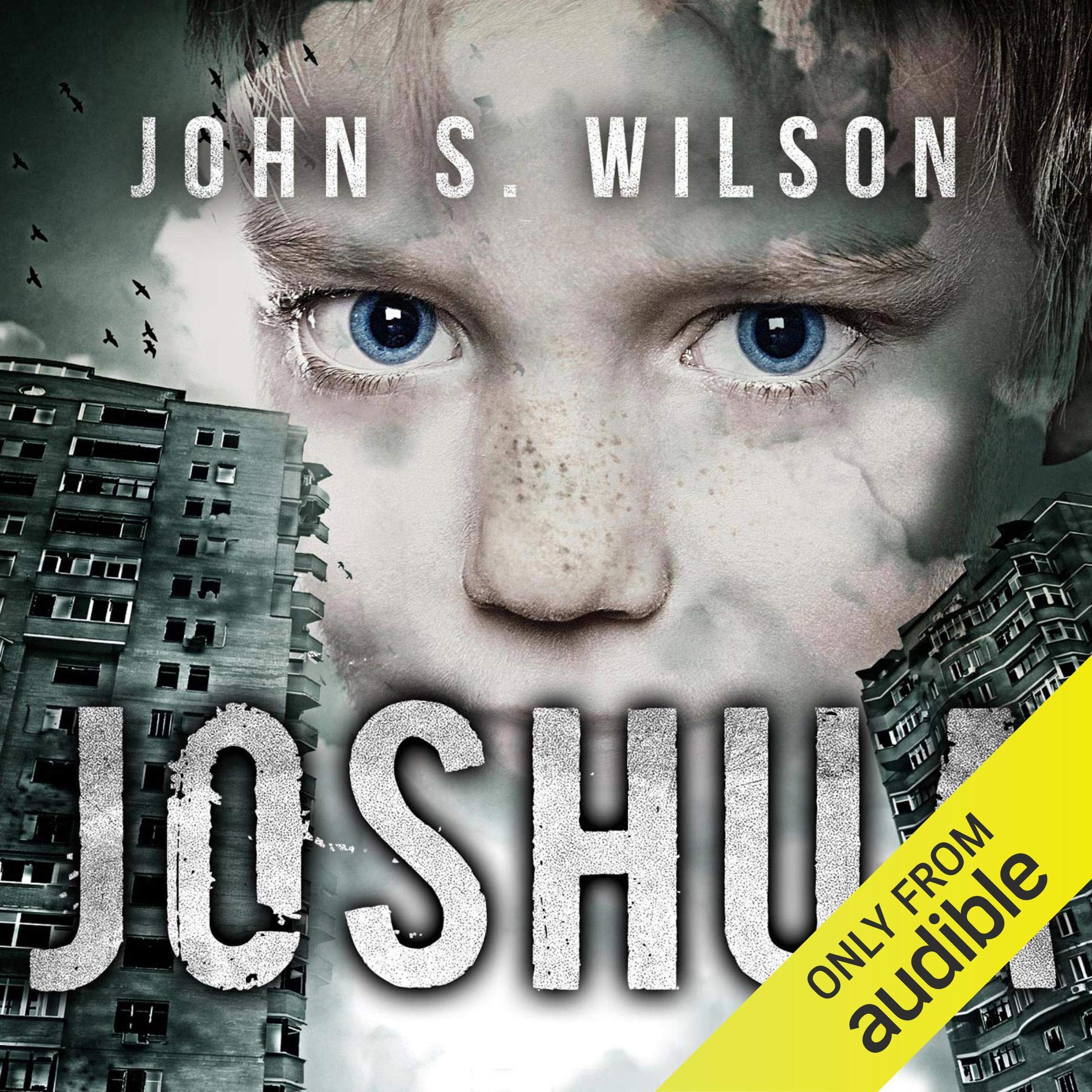 Cover art for Joshua