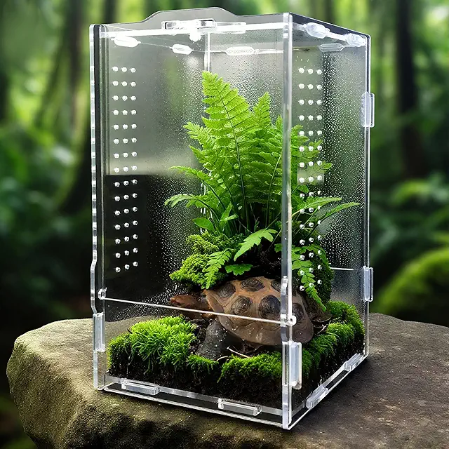 GTSEEMUU Acrylic Iguana Reptile Cage - 20x12x11cm Terrarium for Spiders, Frogs & Small Pets