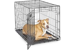 Supreme Comfort and Security: MidWest iCrate for Dogs 40-70 Pounds