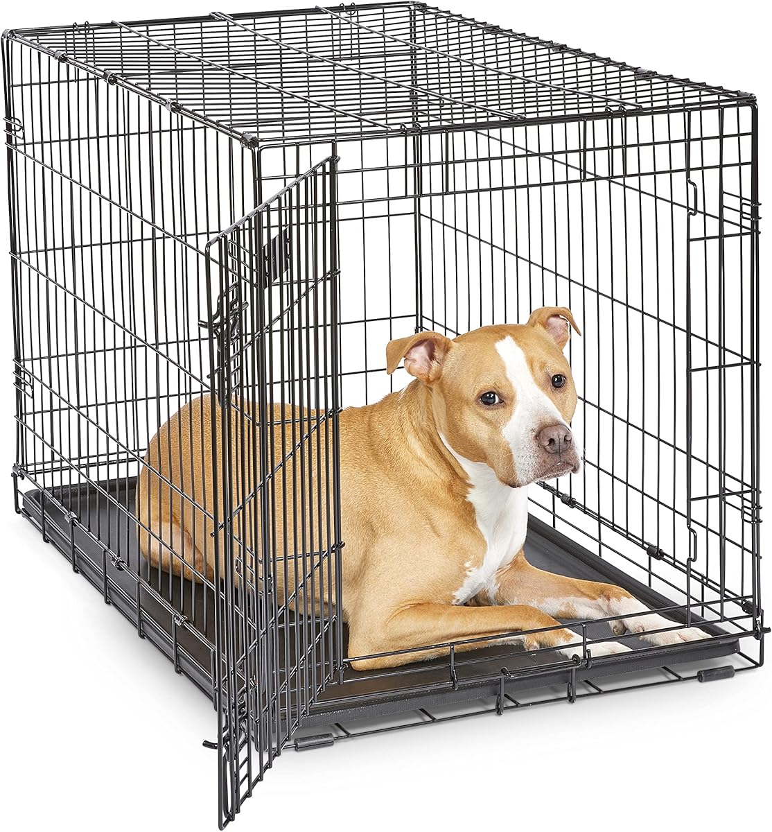 Dog Crate | Midwest ICrate 36 Inch Folding Metal Dog Crate w/Divider Panel|Intermediate Dog Breed, Black