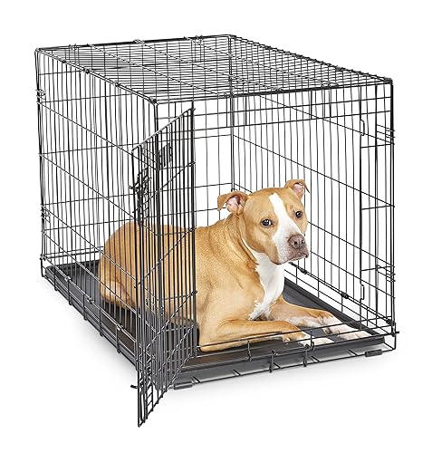 MidWest Homes for Pets 36-Inch iCrate for Medium-Large Breeds, 41-70
