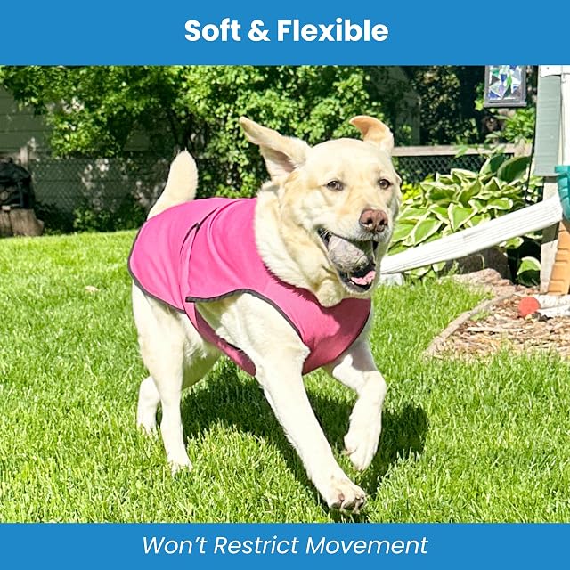Foto 6 de 7 de Dogzstuff Chaleco de enfriamiento para Perros, Chaqueta Ligera con tecnología de Microfibra evaporativa
