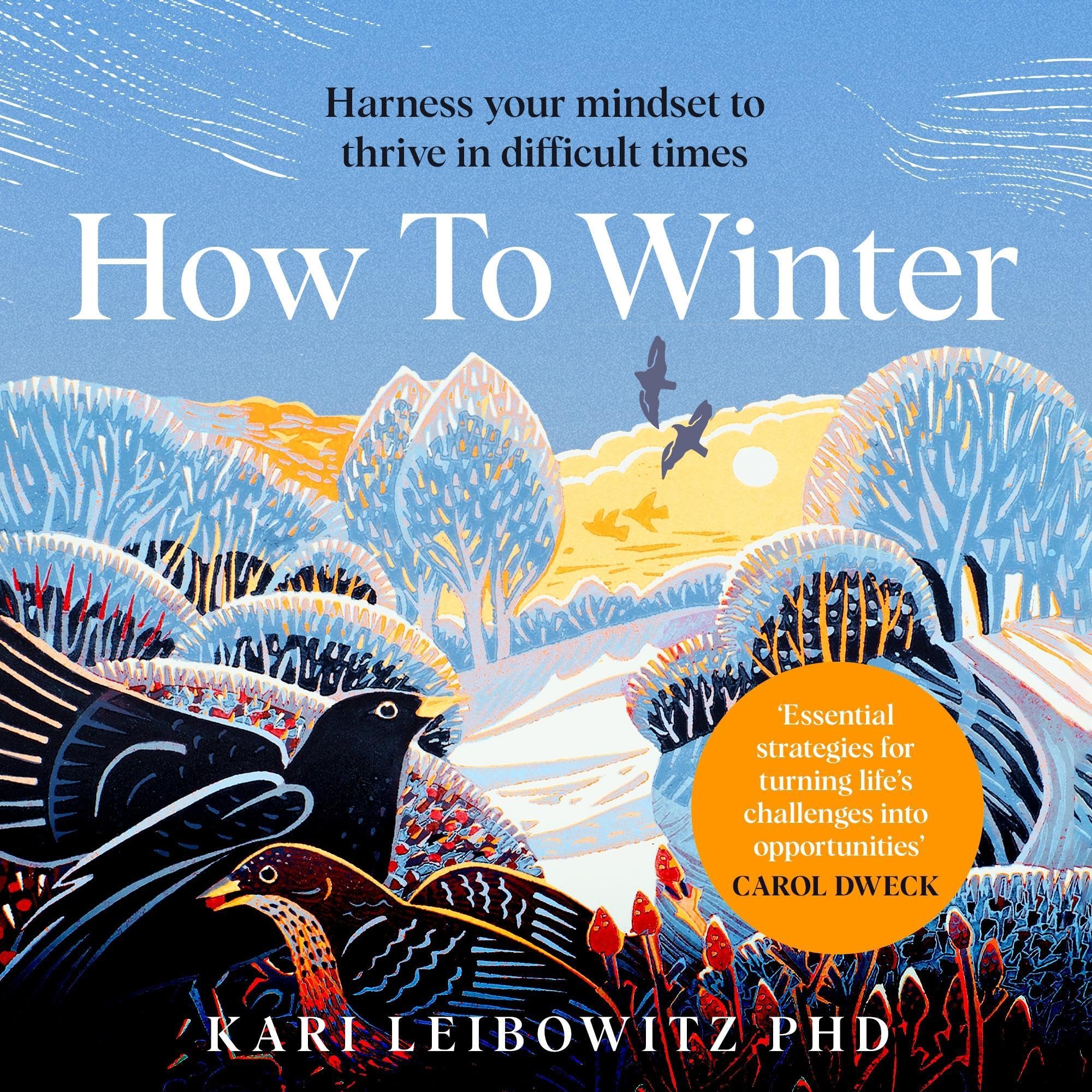 How to Winter: Harnessing Your Mindset to Thrive In Cold, Dark or Difficult Times
