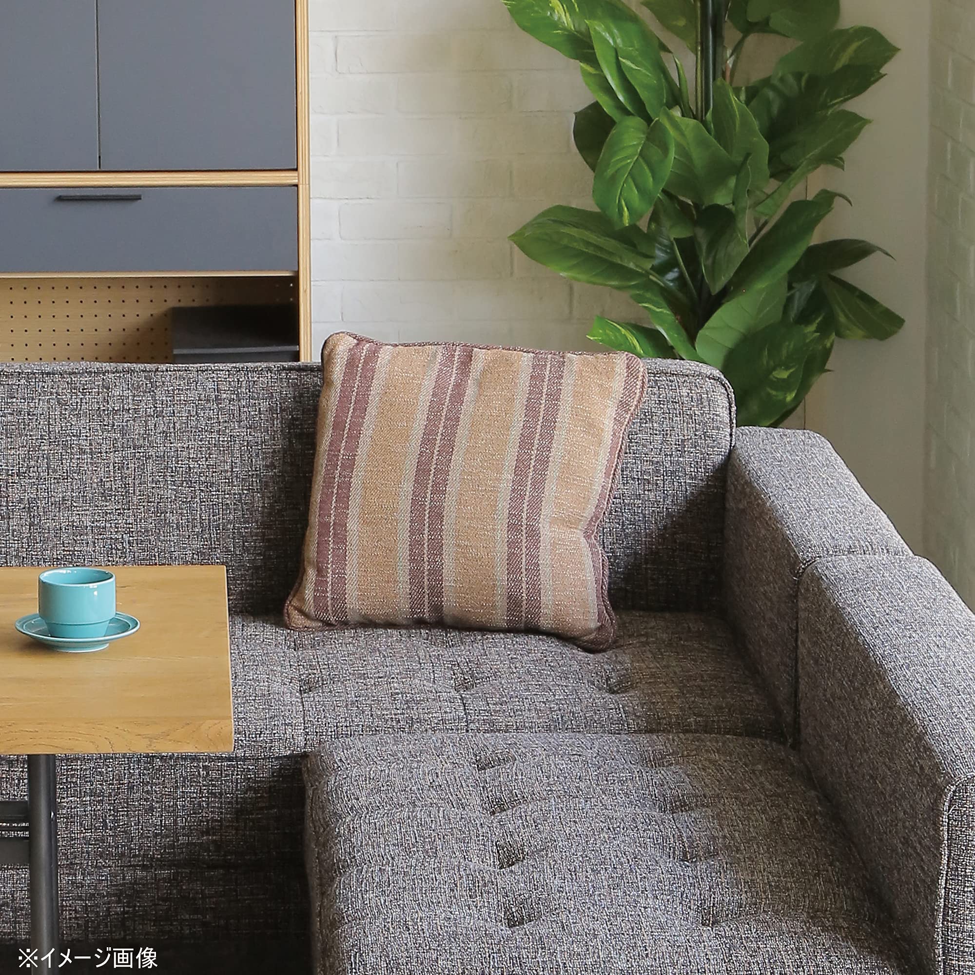 Amazon.co.jp: CRASH GATE (クラッシュゲート) クッション ムック2