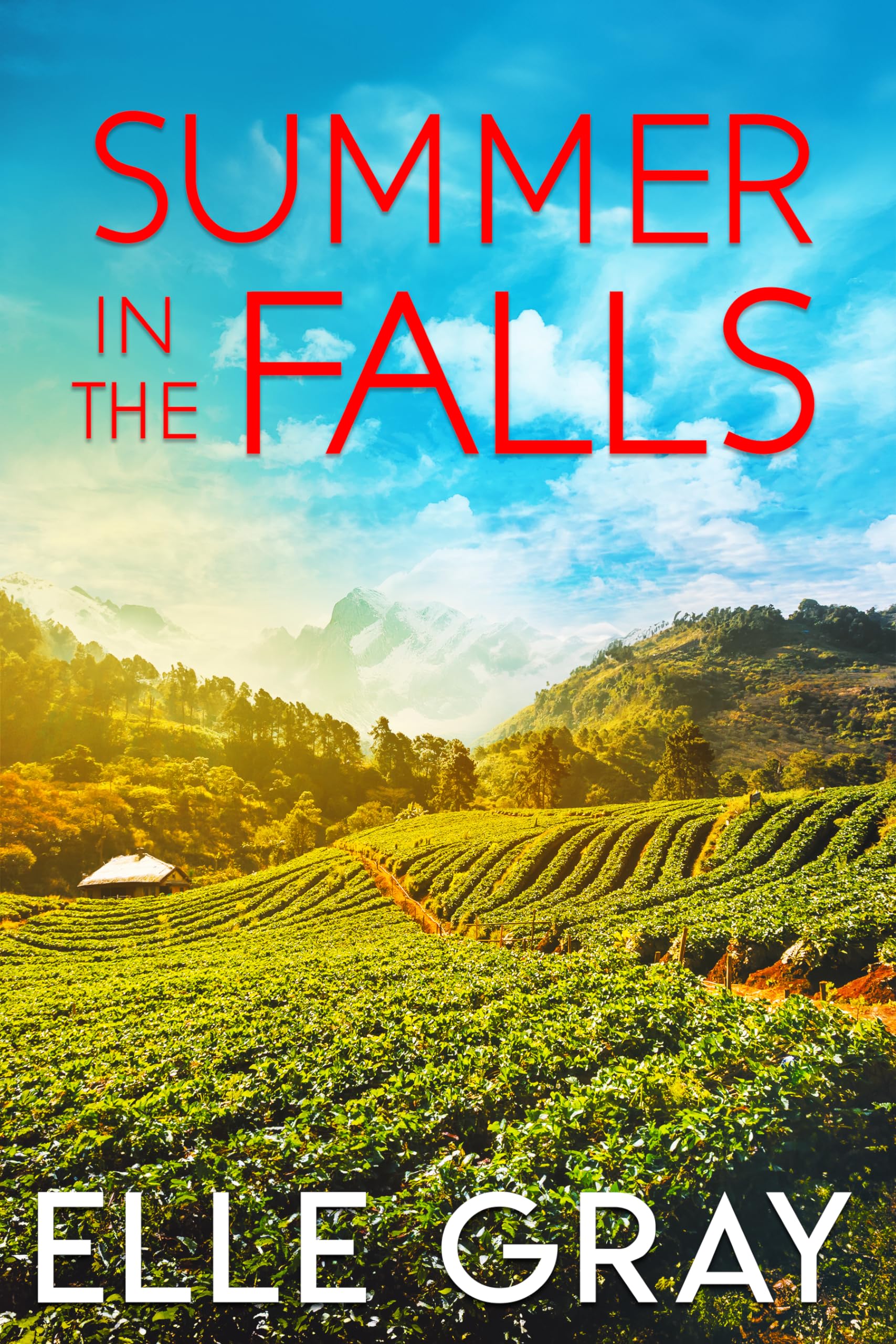 Summer in the Falls (A Sweetwater Falls Mystery Book 9)
