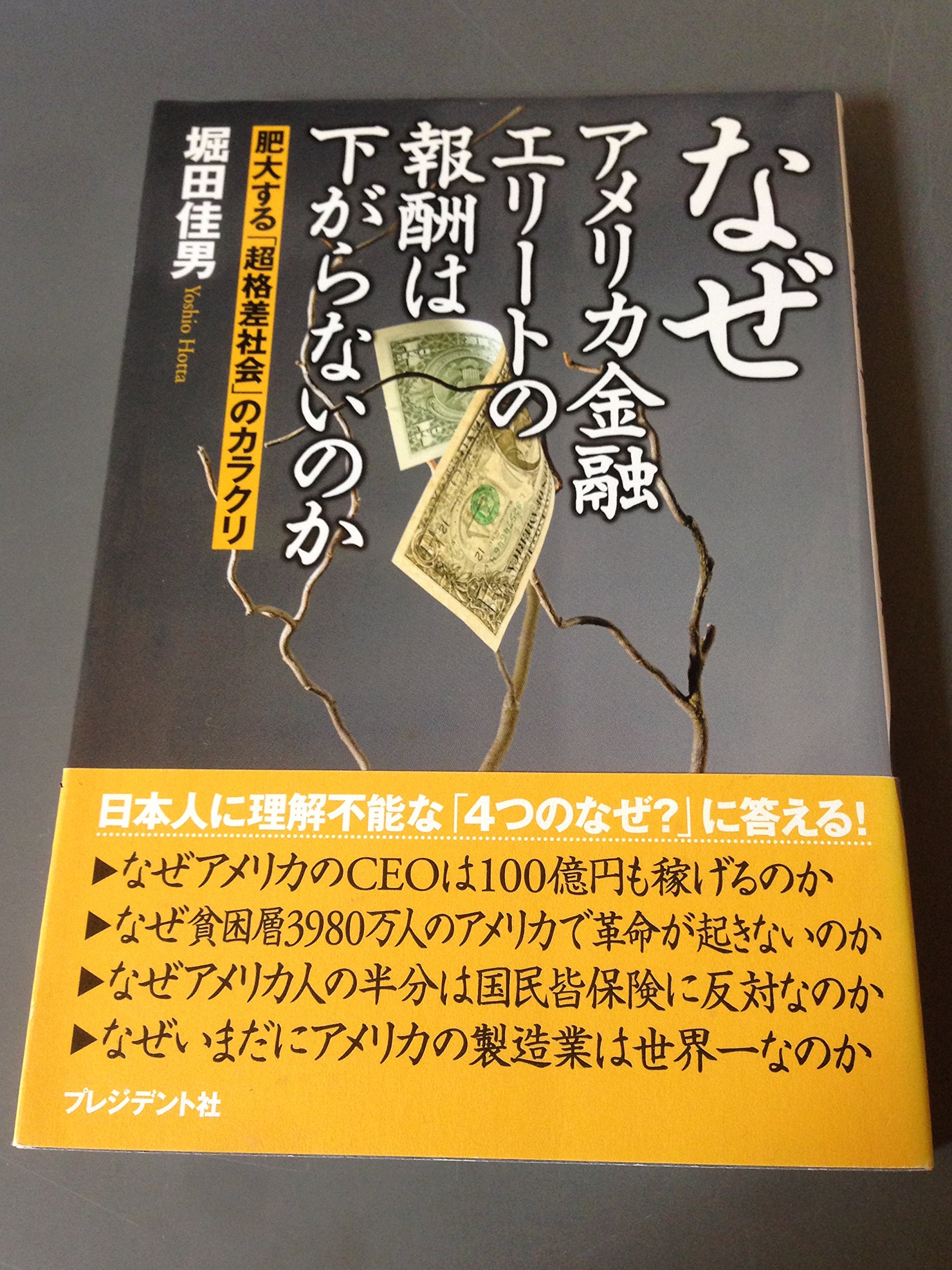 Amazon.co.jp: 堀田 佳男: 本、バイオグラフィー、最新アップデート
