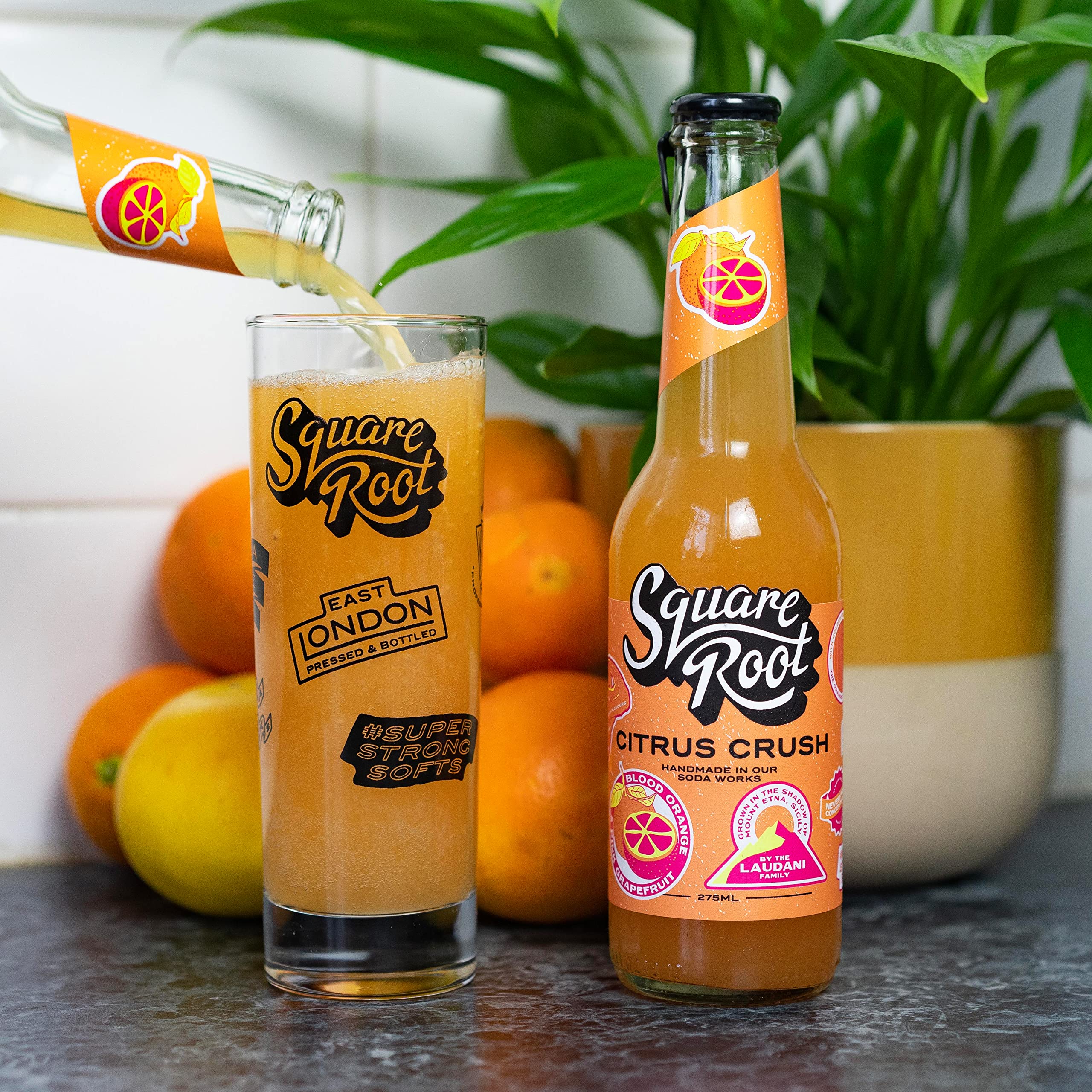 Square Root Soda Raspberry Square Root Flavours