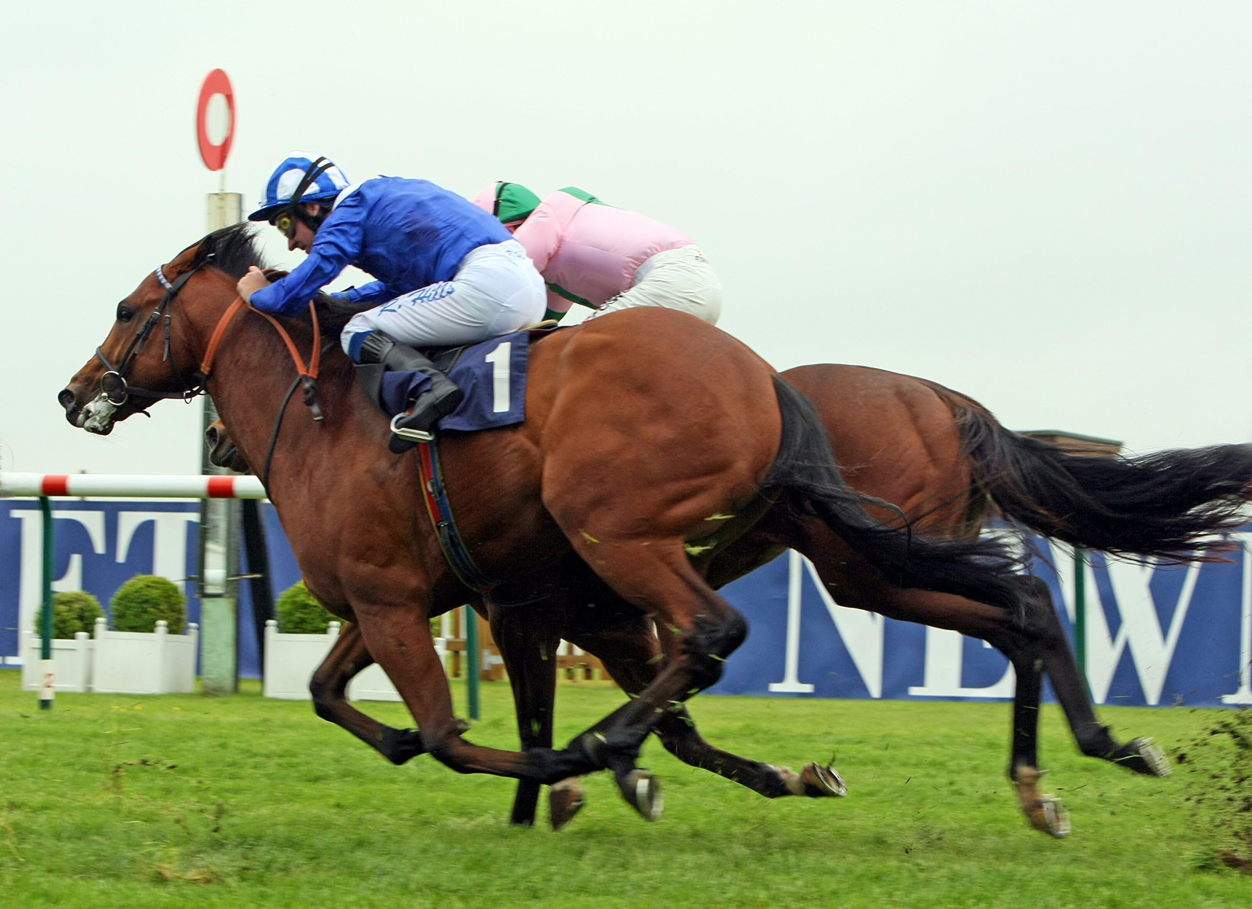 Horse Racing Card
