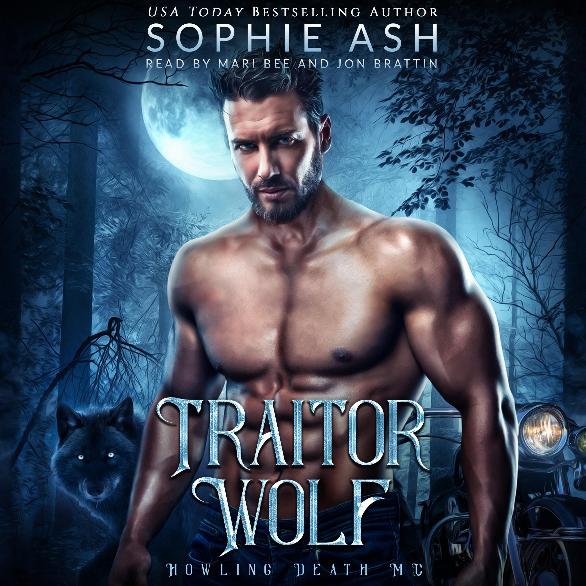 Cover art for Traitor Wolf